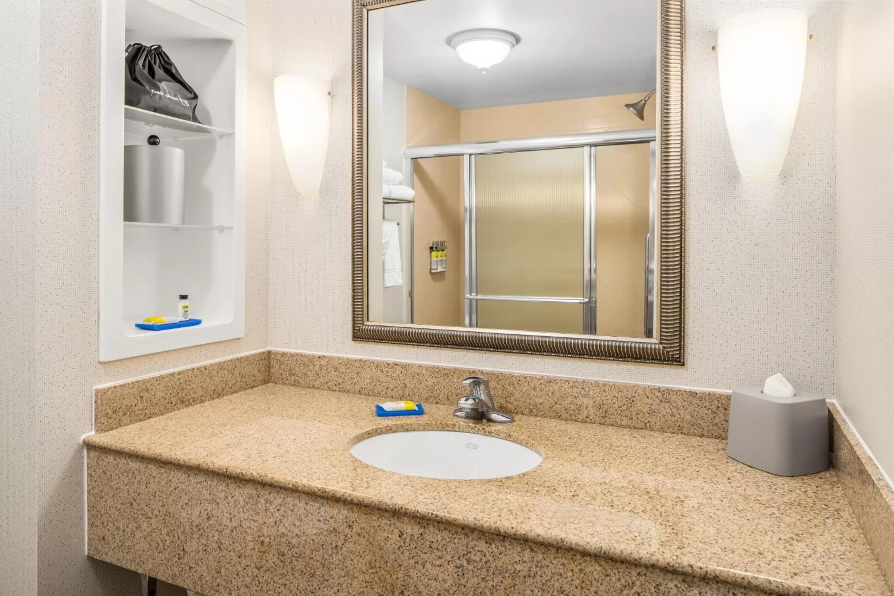 Bathroom in Holiday Inn Express & Suites Wilmington-Newark by IHG