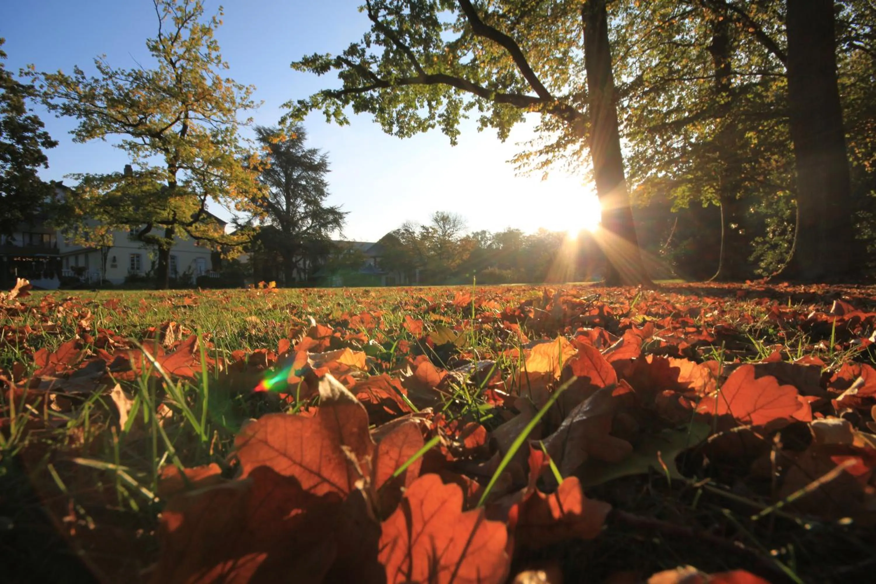 Autumn in Nells Park Hotel