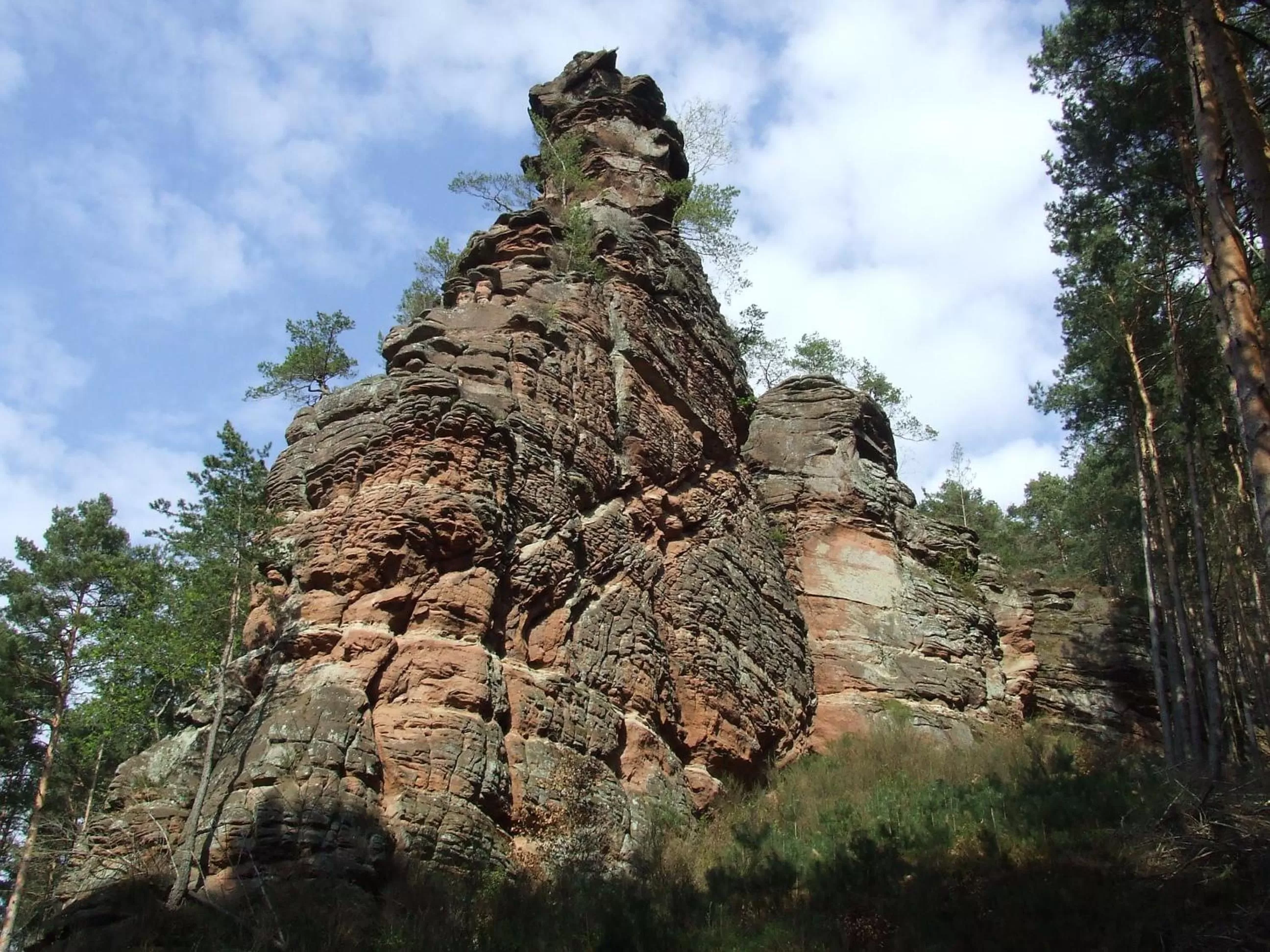 Hiking in Hotel-Hauensteiner-Hof