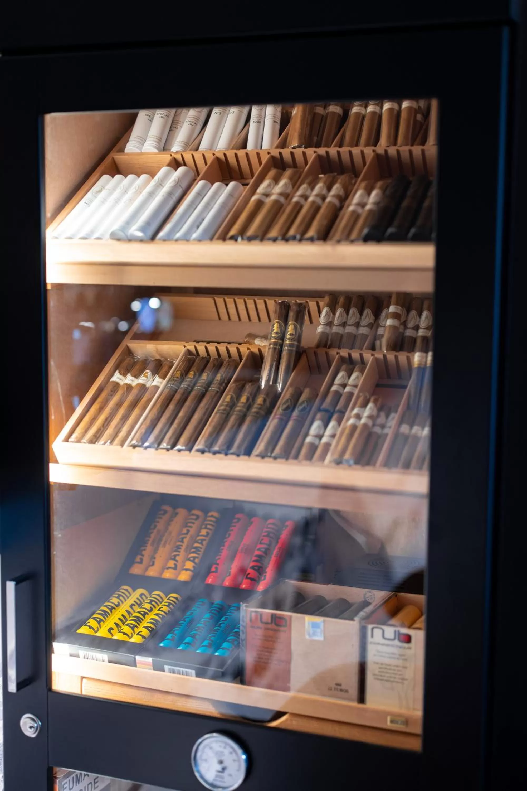 Lounge or bar in Hotel Belmont