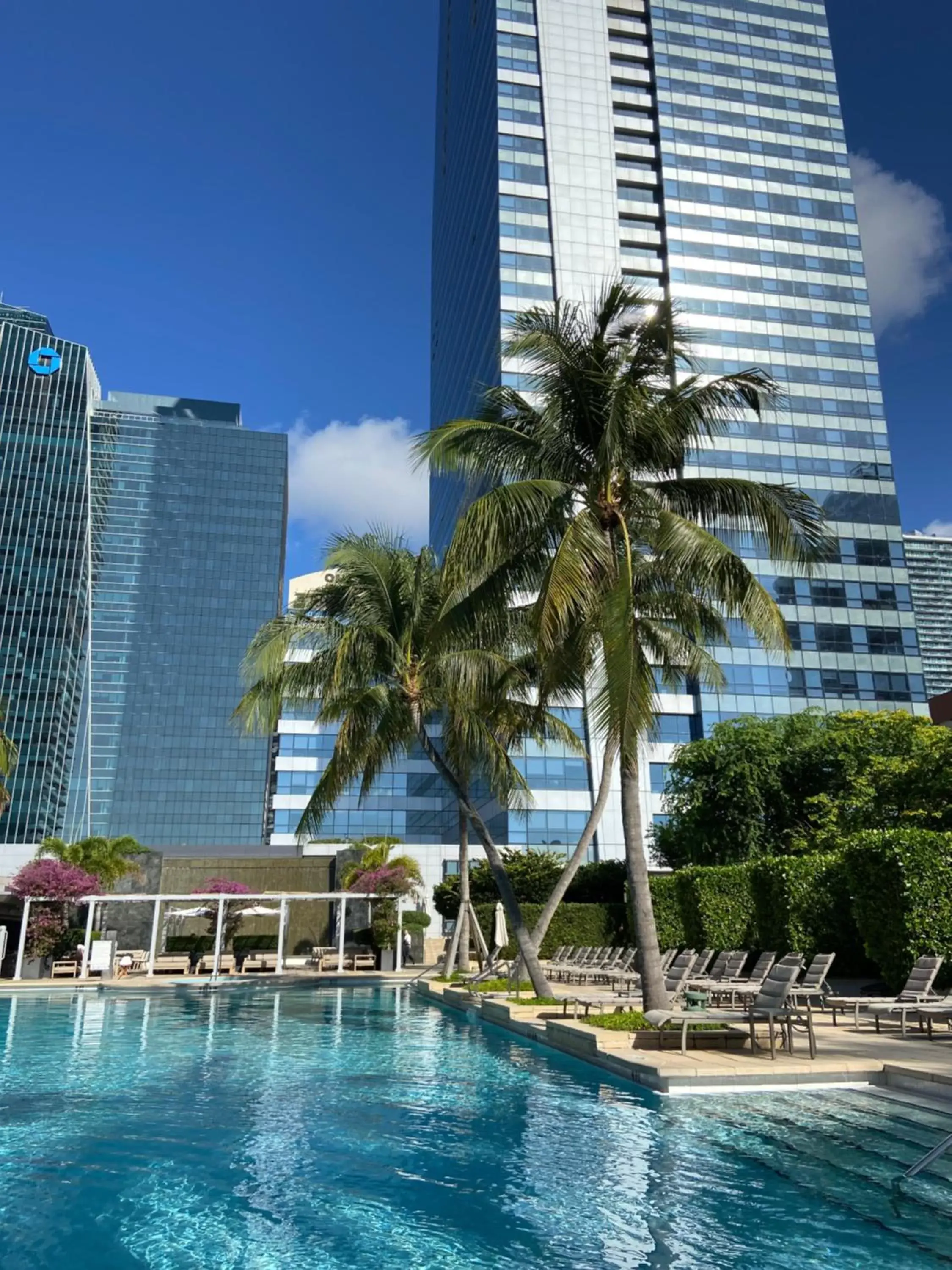 Property building, Swimming Pool in Four Seasons Hotel Miami - Luxury Private Residences Property building, Swimming Pool in Four Seasons Hotel Miami - Luxury Private Residences