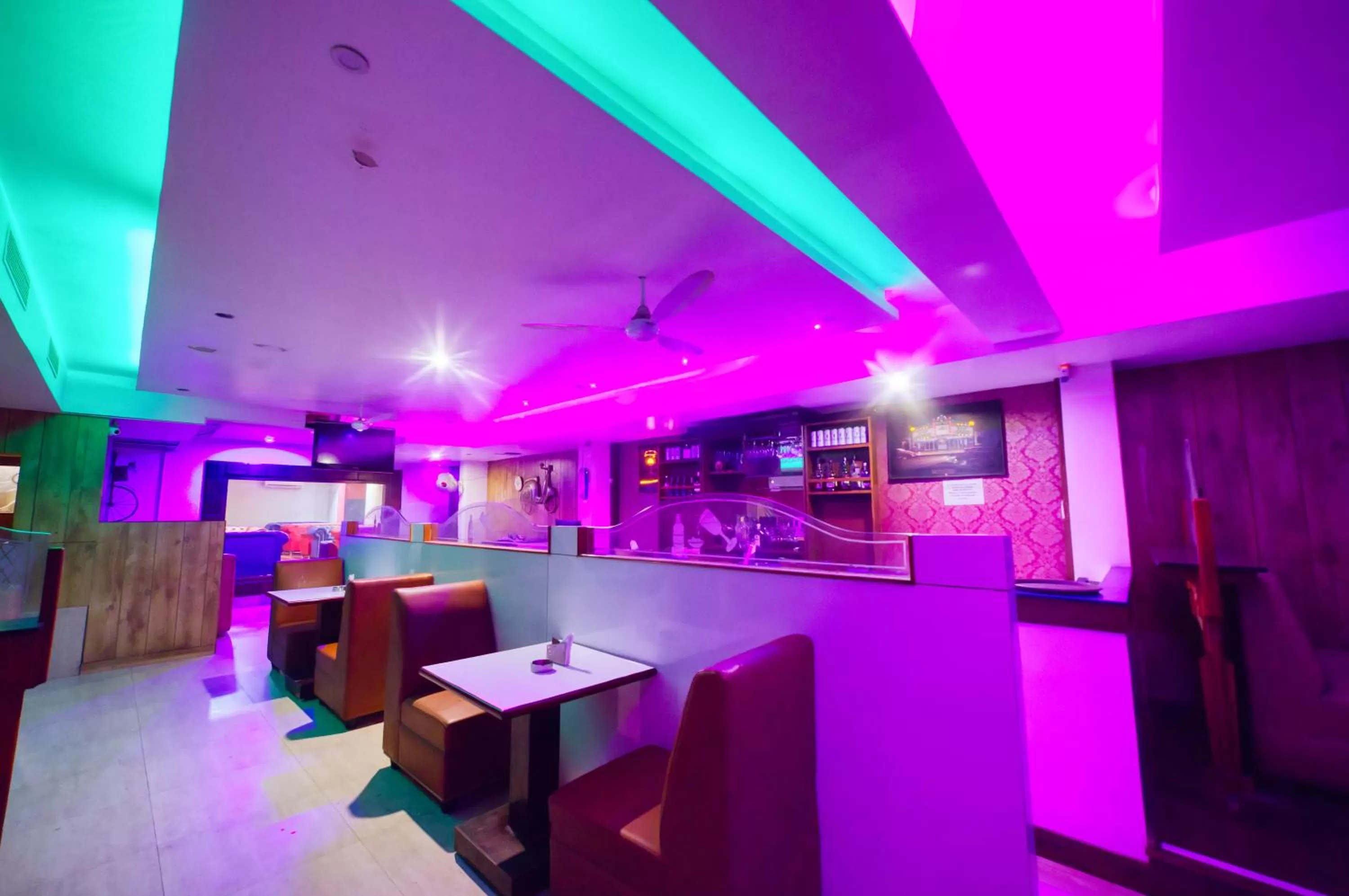 Lounge or bar in HOTEL WINDSOR CASTLE