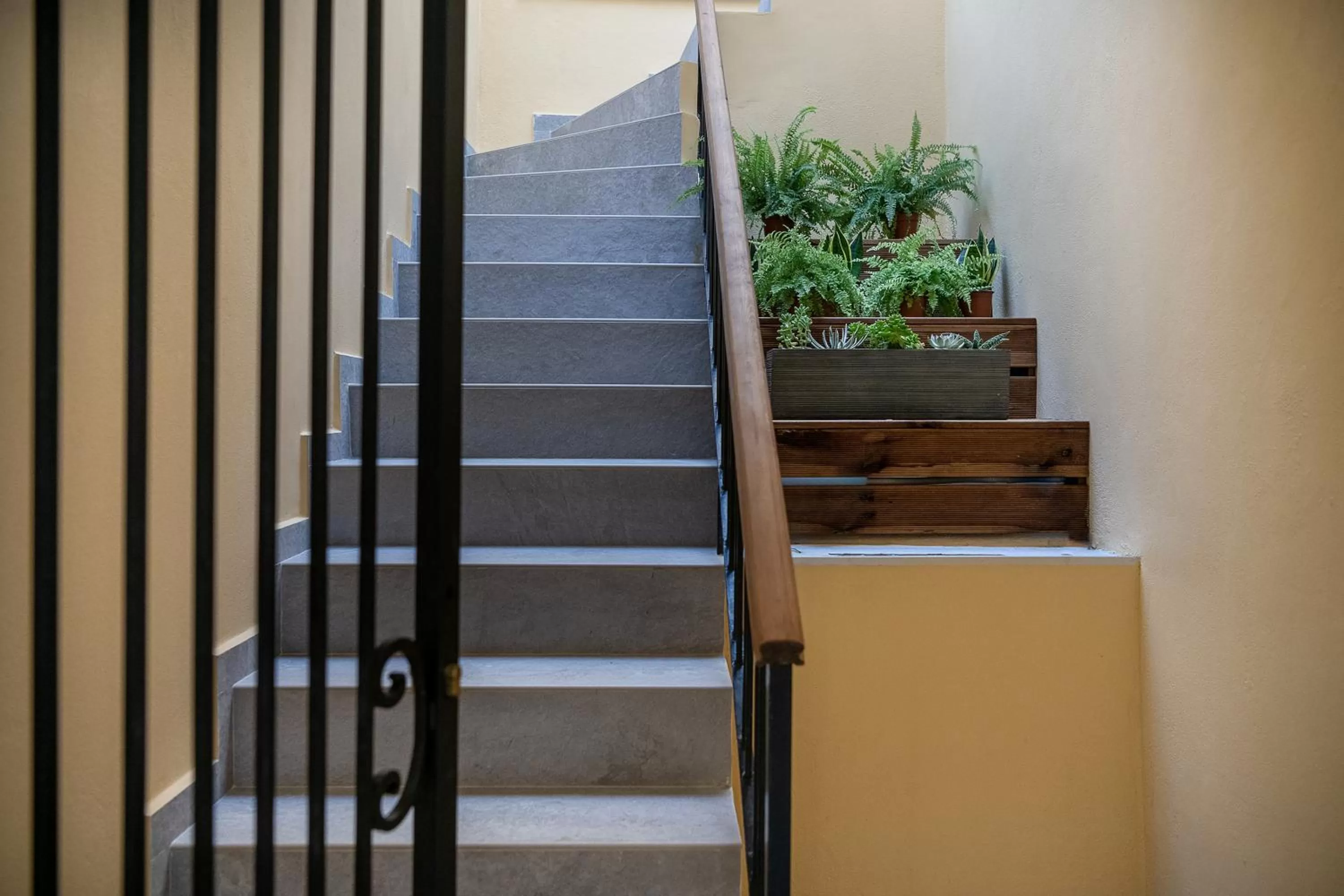 Property building in Camere Maritima