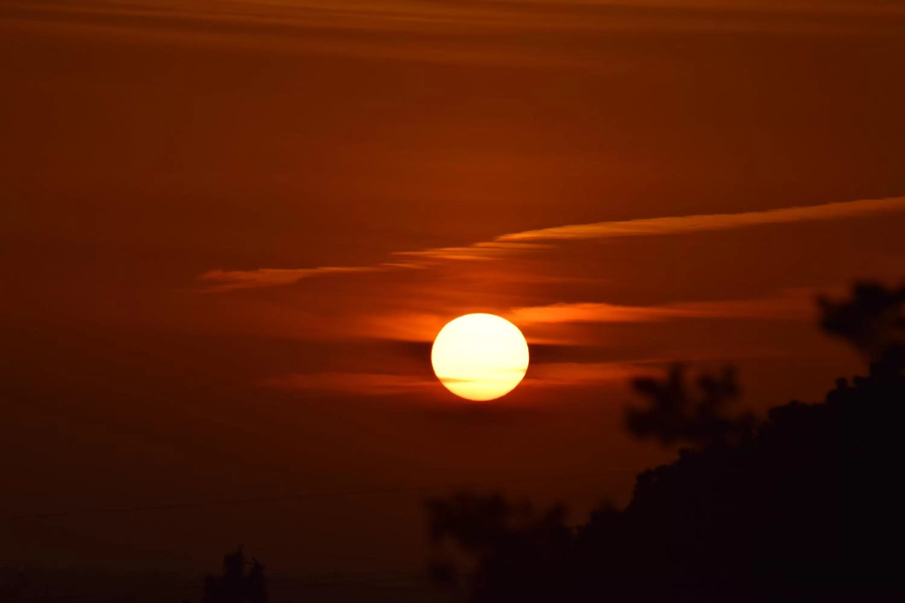 Apartamentos Carruna