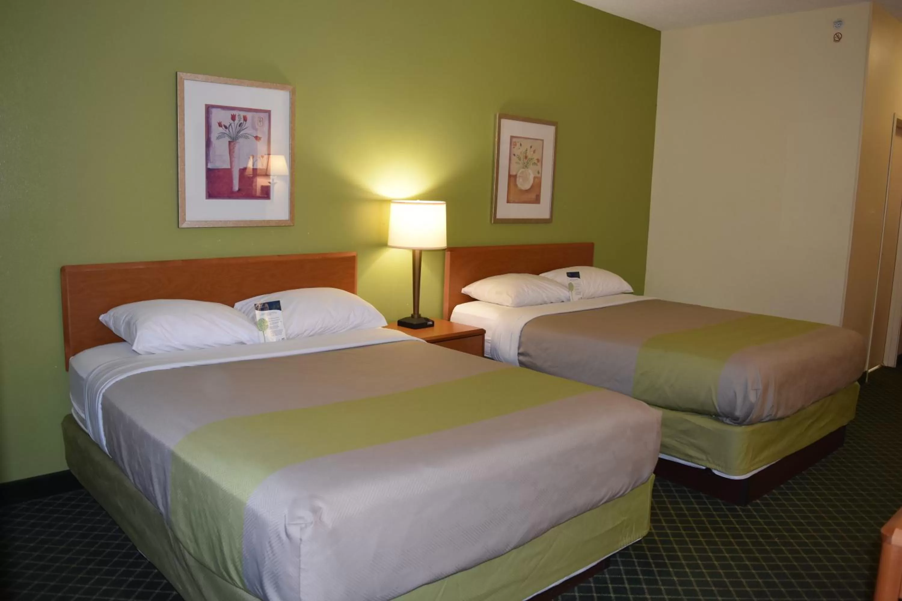 Bed in Motel 6-Anderson, IN