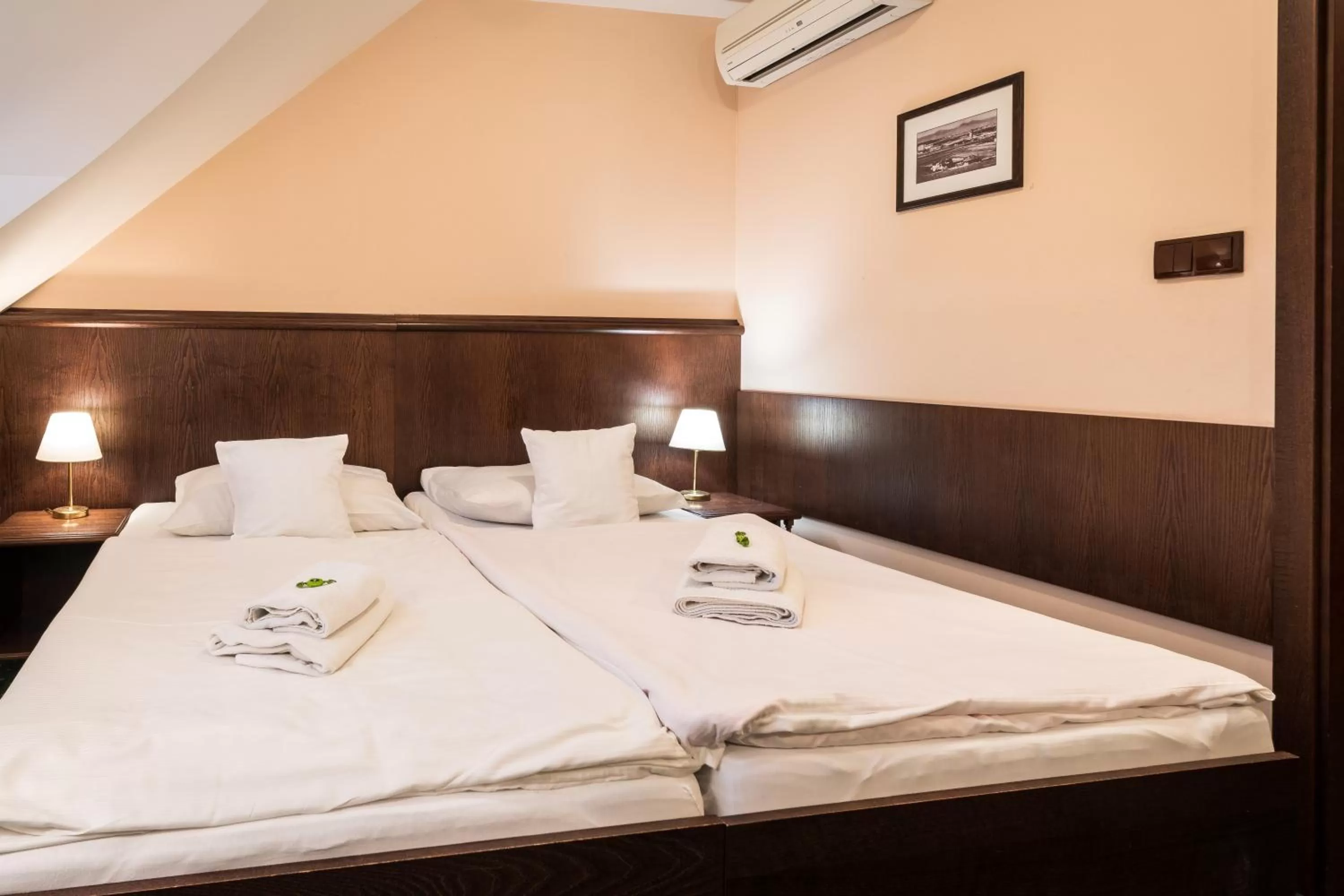 Bed in Hotel U Hejtmana Šarovce