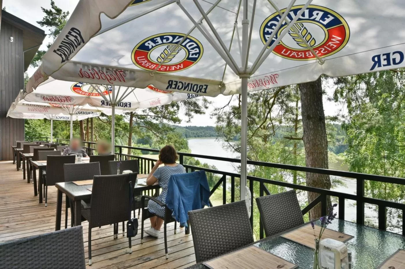 "Seklytele" apartments