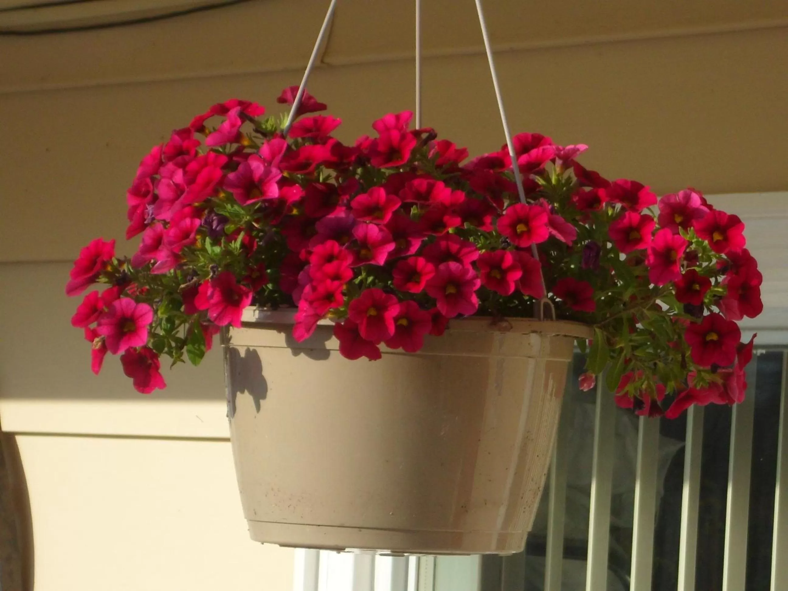 Decorative detail in The Silver Birch Motel