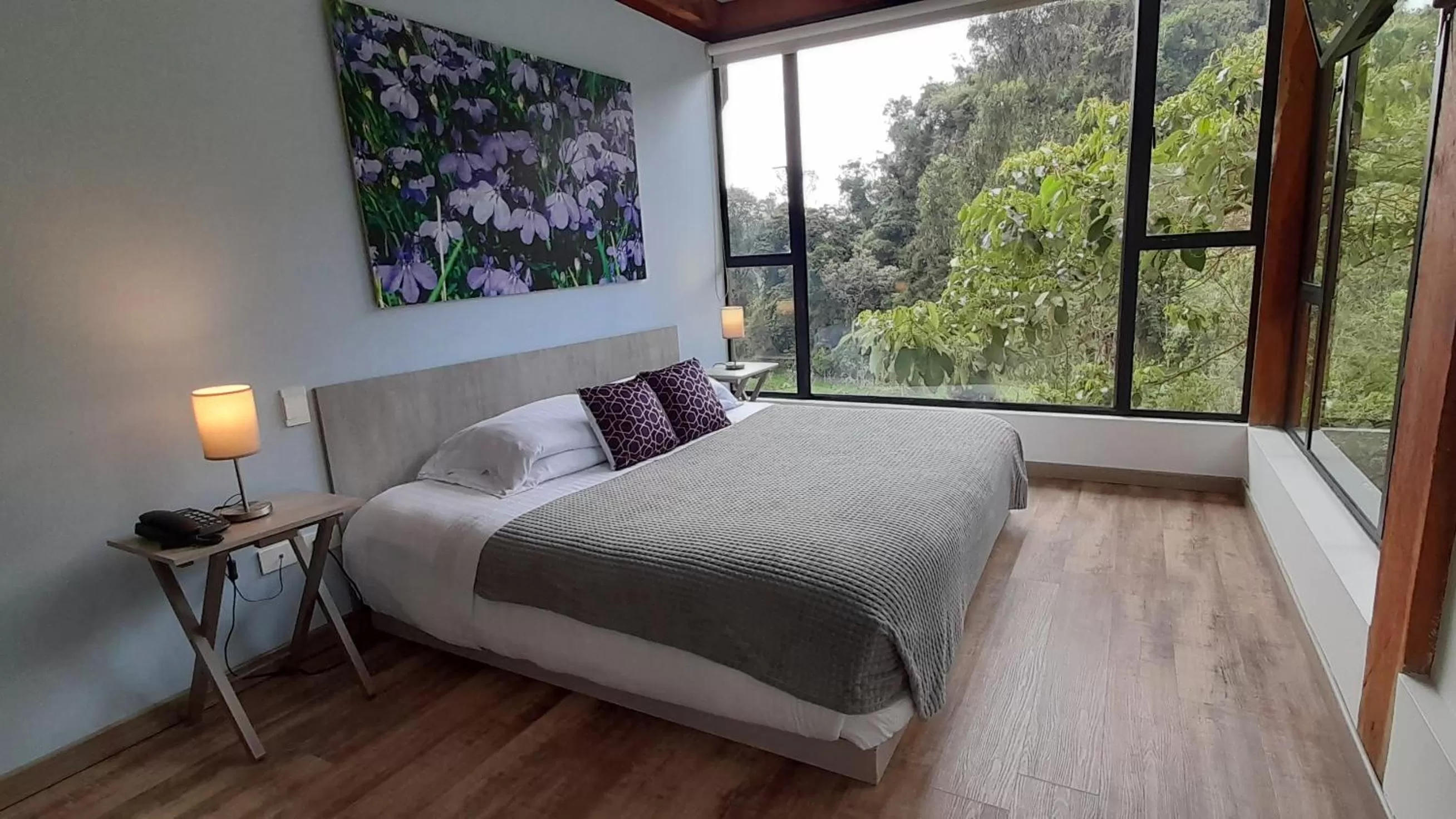 Bed in Hotel Termales Tierra Viva