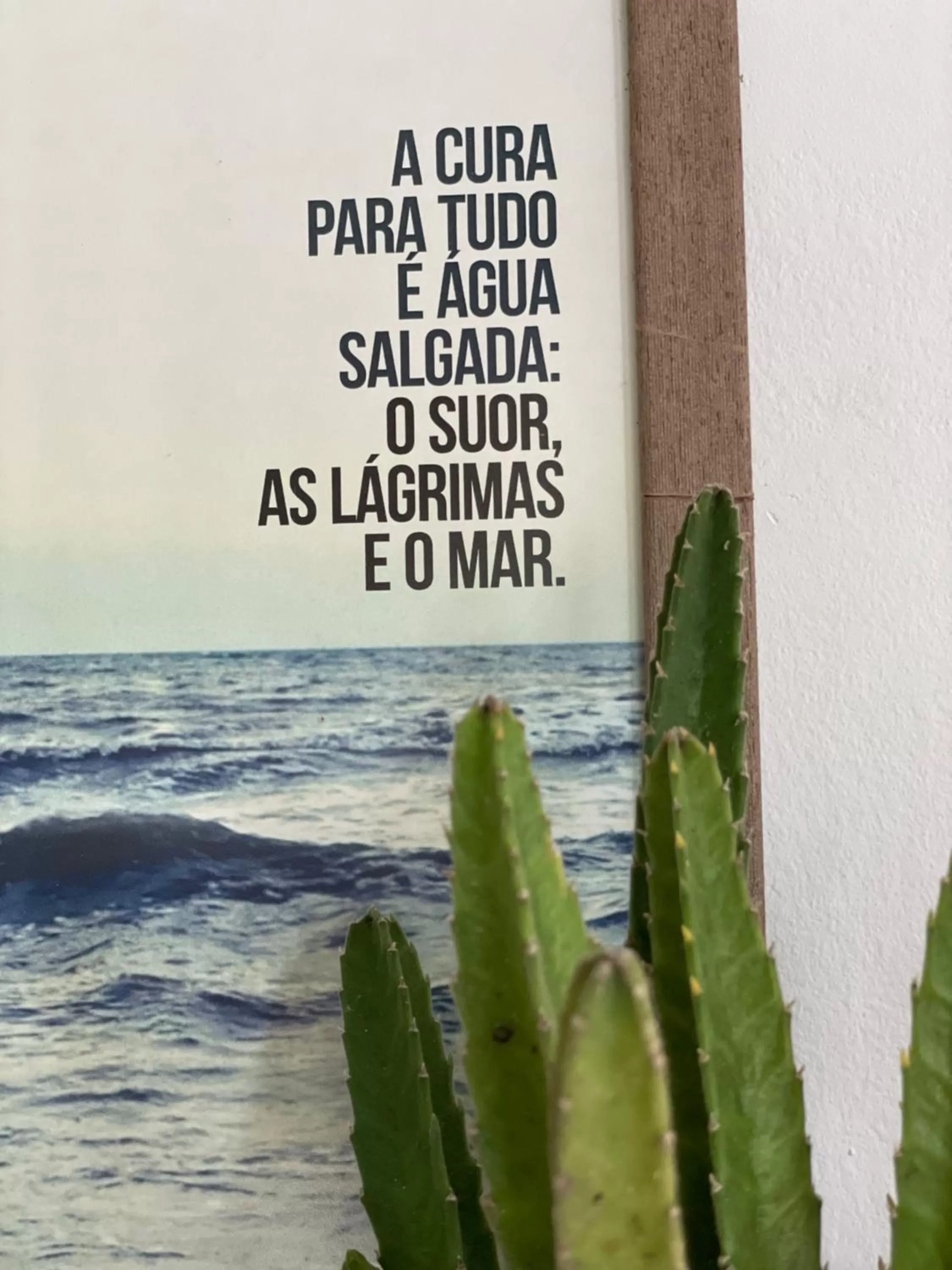 Logo/Certificate/Sign in Pousada Santarina