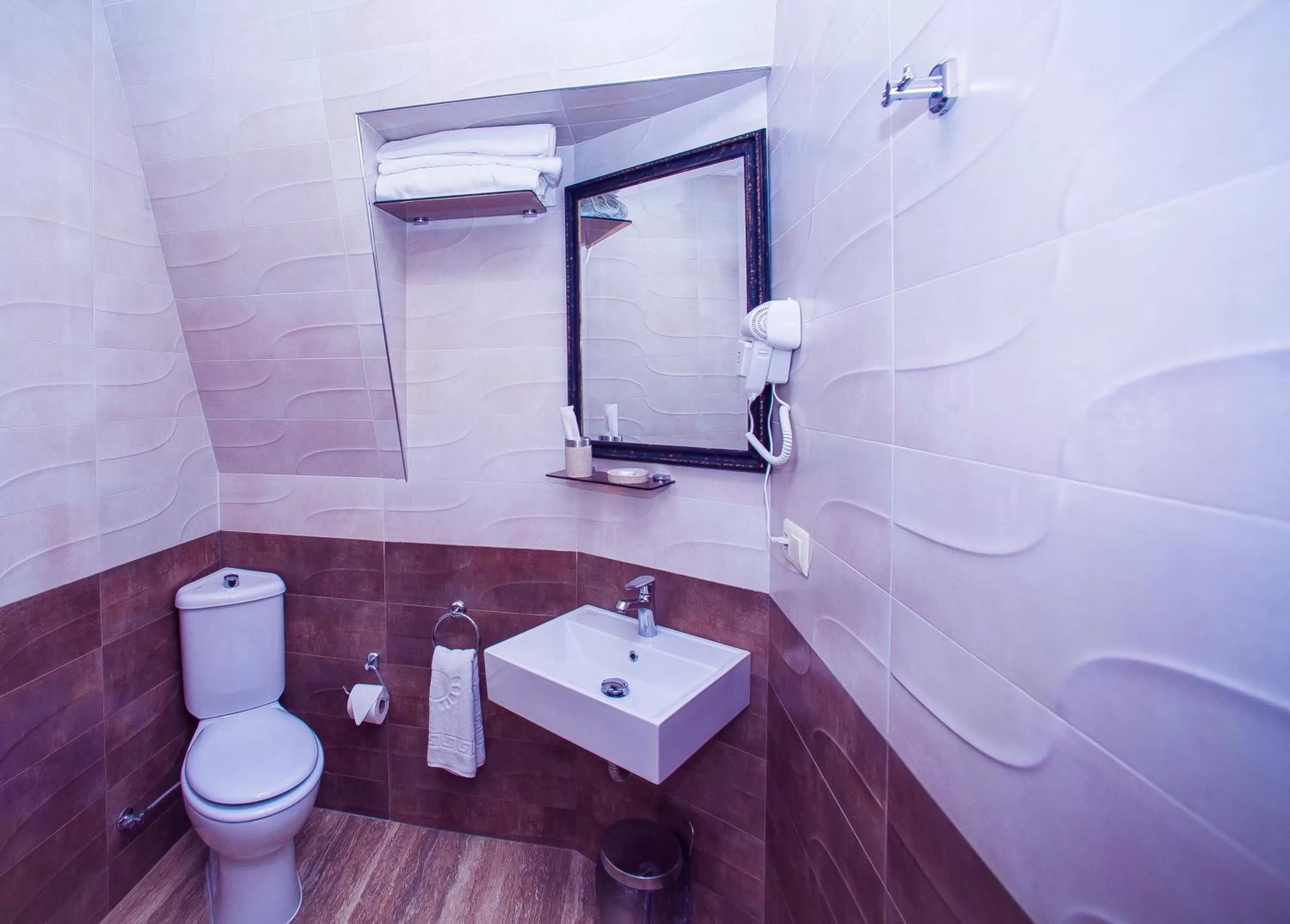 Shower in Royal Venezia Hotel