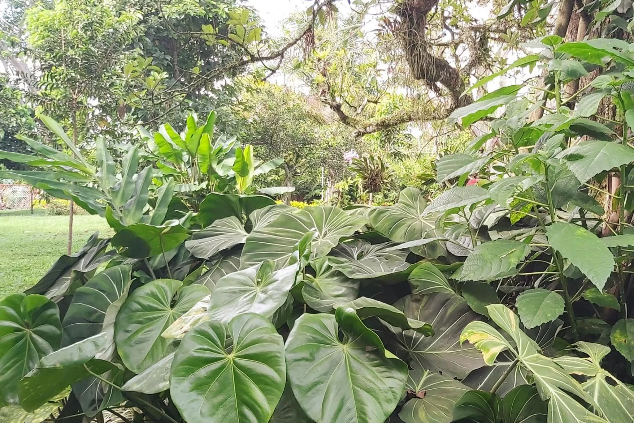 Natural landscape in Balsora Hotel Boutique