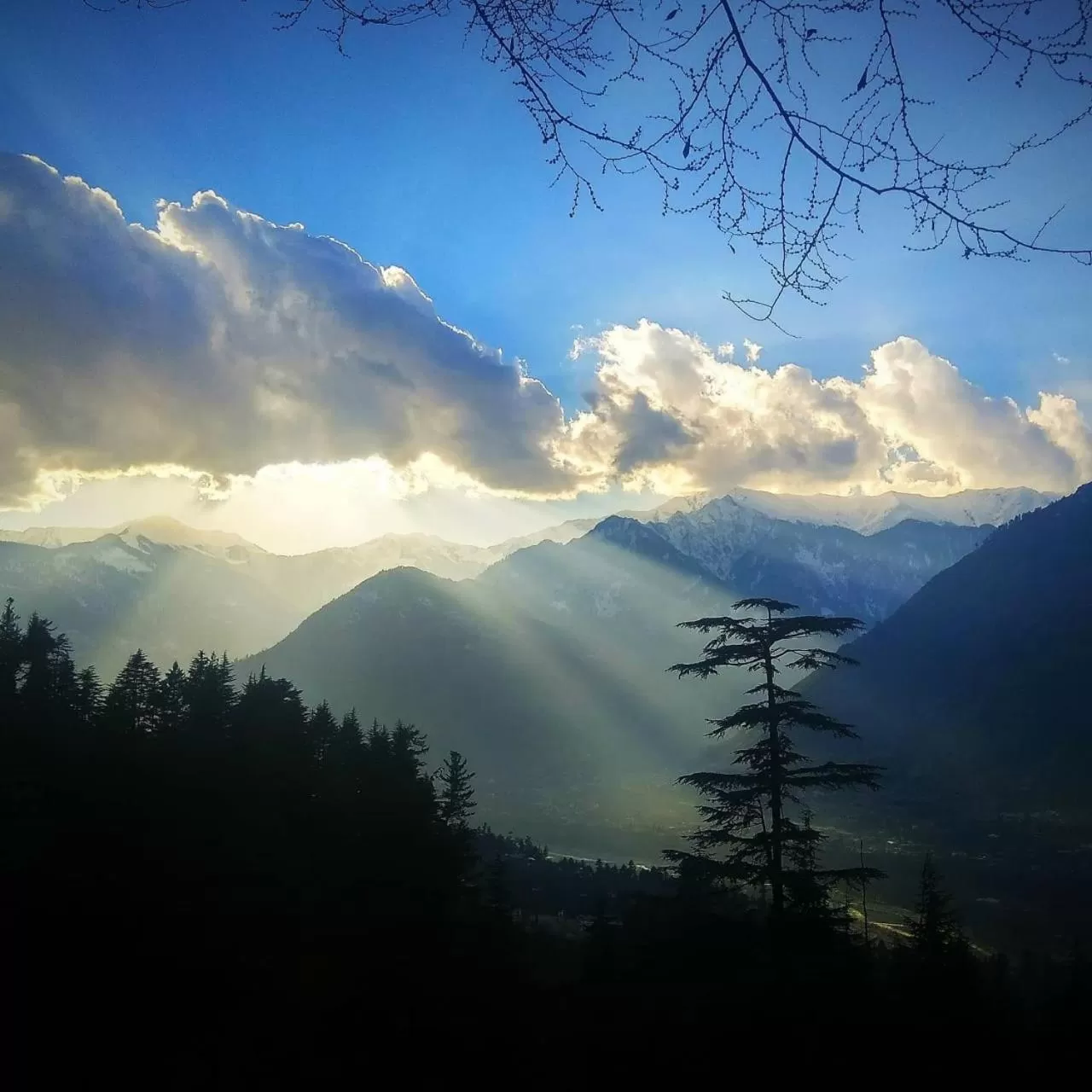 Natural landscape in Soham's Chateau De Naggar - Manali