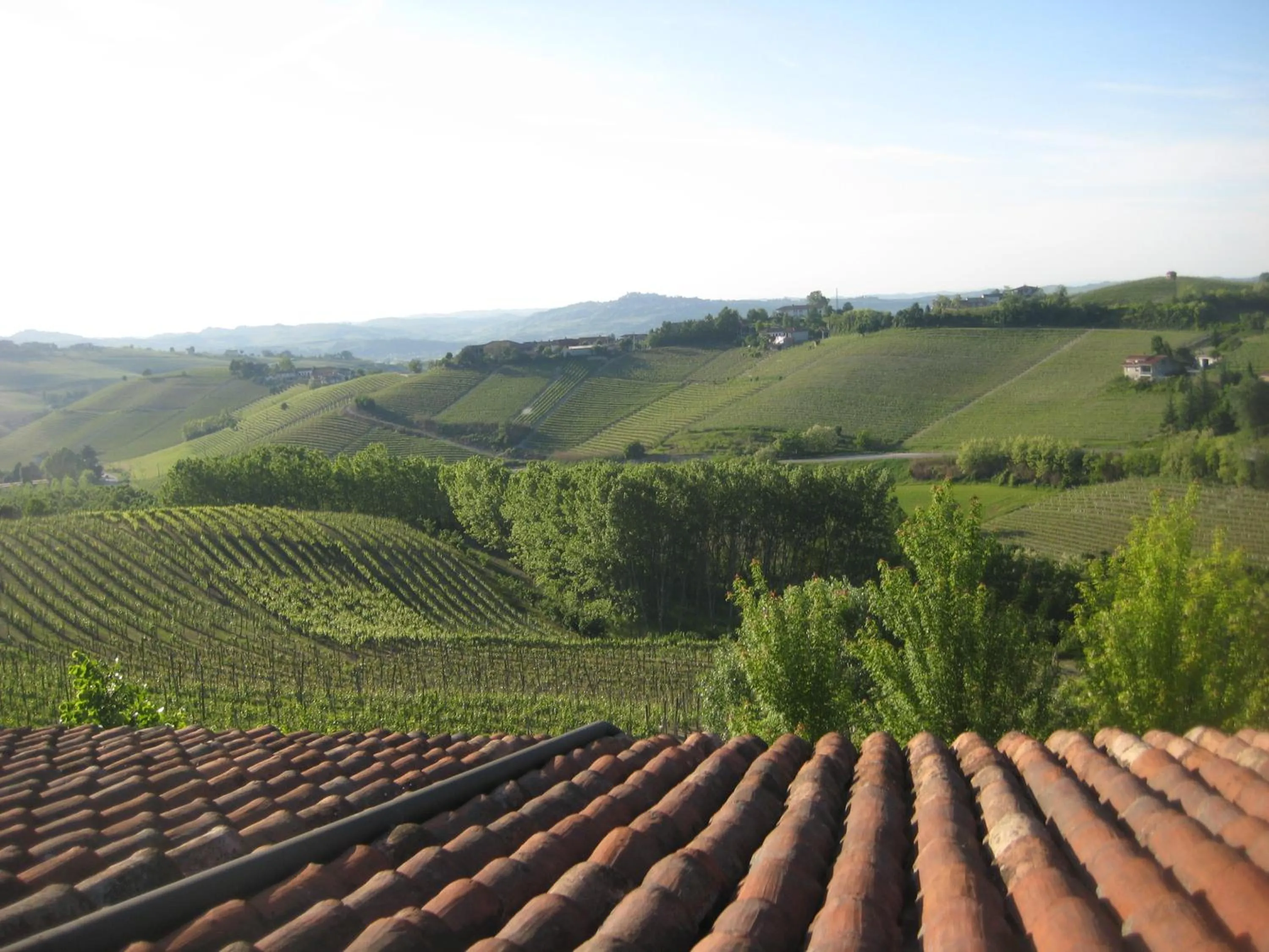 View (from property/room) in Hotel Villa Lauri