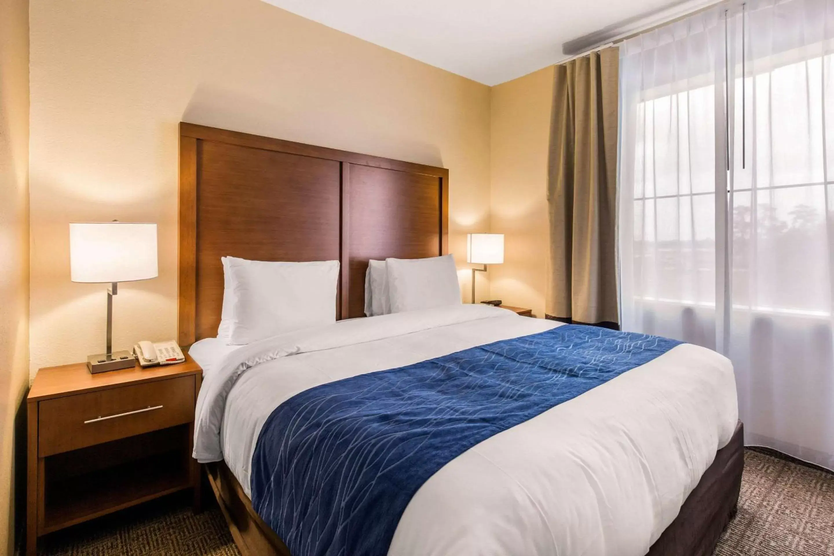 King Suite - Accessible/Non-Smoking in Comfort Inn & Suites IAH Bush Airport – East King Suite - Accessible/Non-Smoking in Comfort Inn & Suites IAH Bush Airport – East