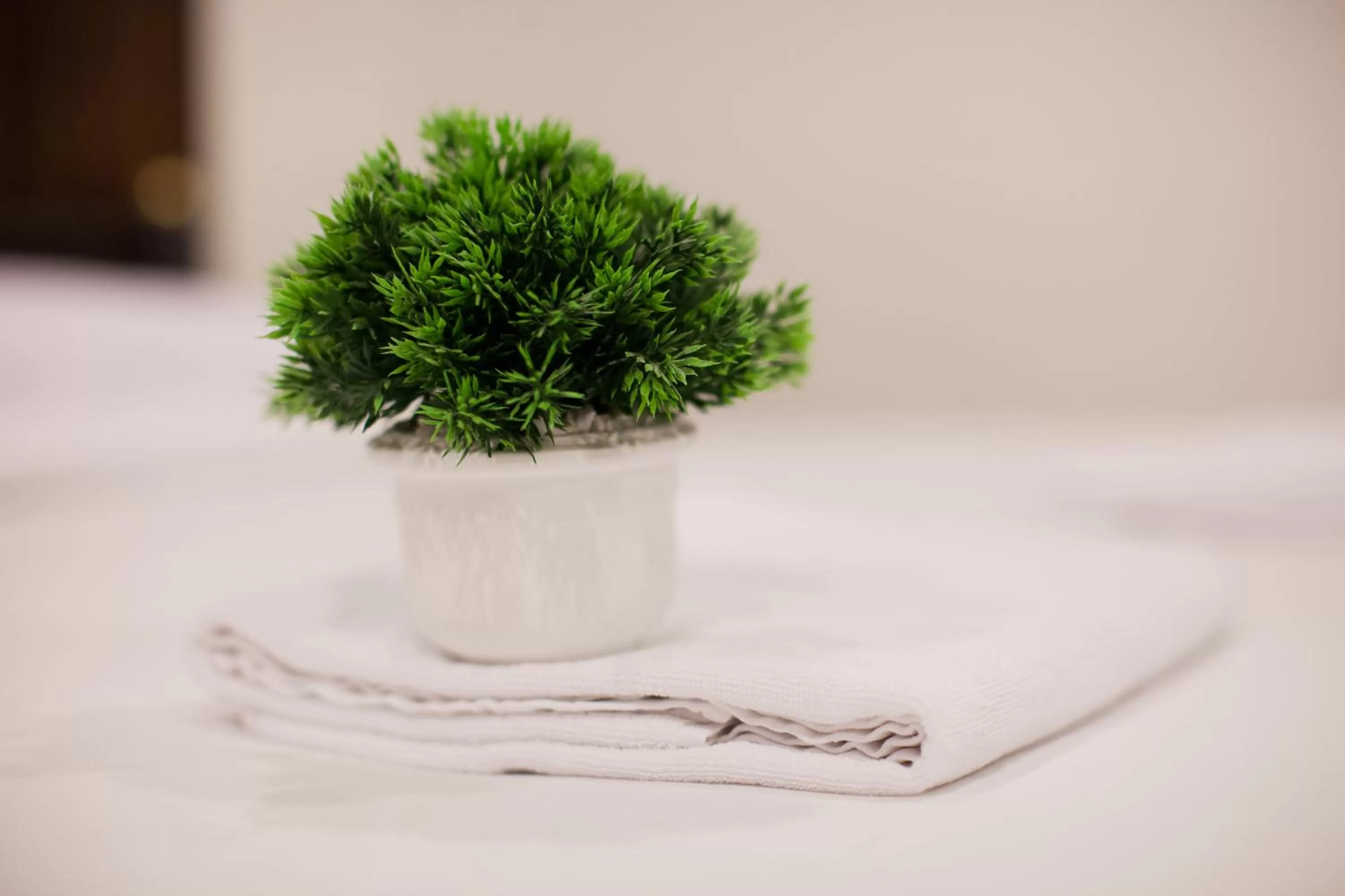 Top Hostel (Top Mansion)