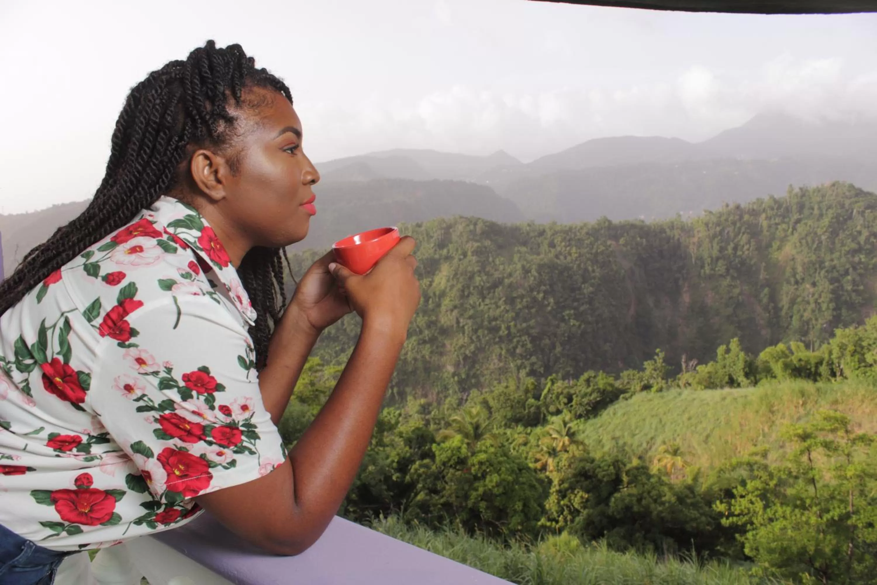 Matthew's Miracle View