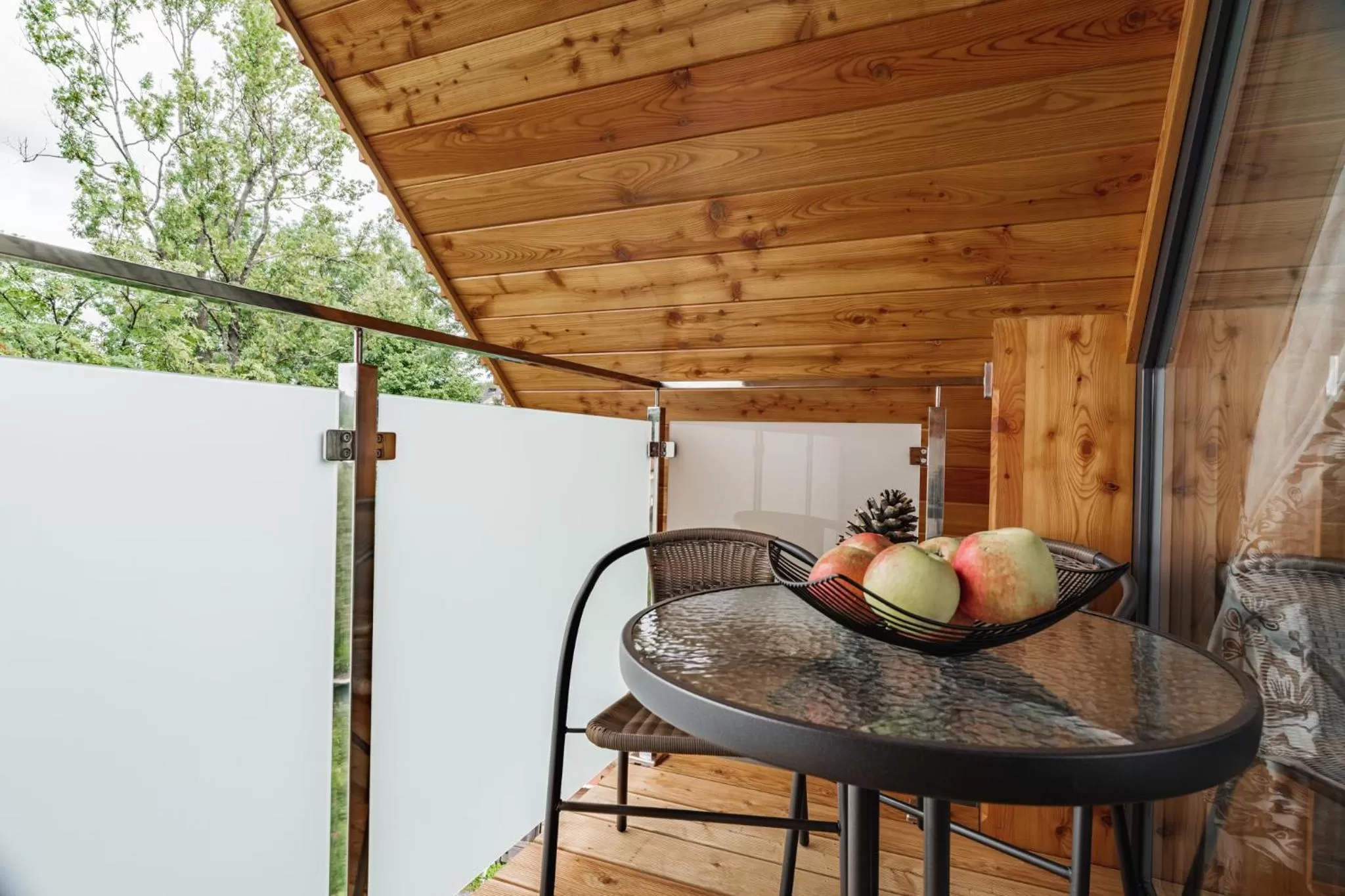 Balcony/Terrace in Apartamenty Jedlina