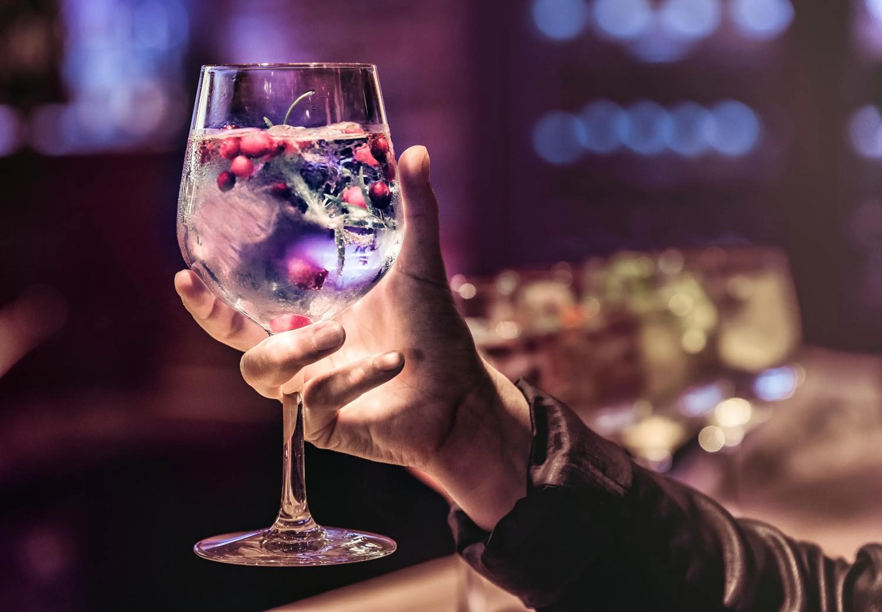 Dinner in Arctic City Hotel