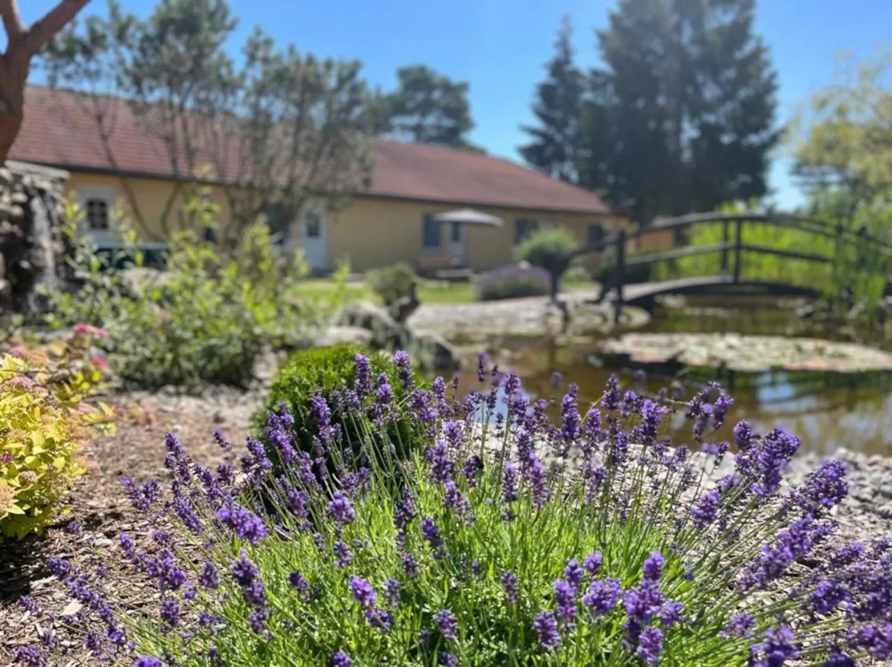 Hotel Pommerscher Hof