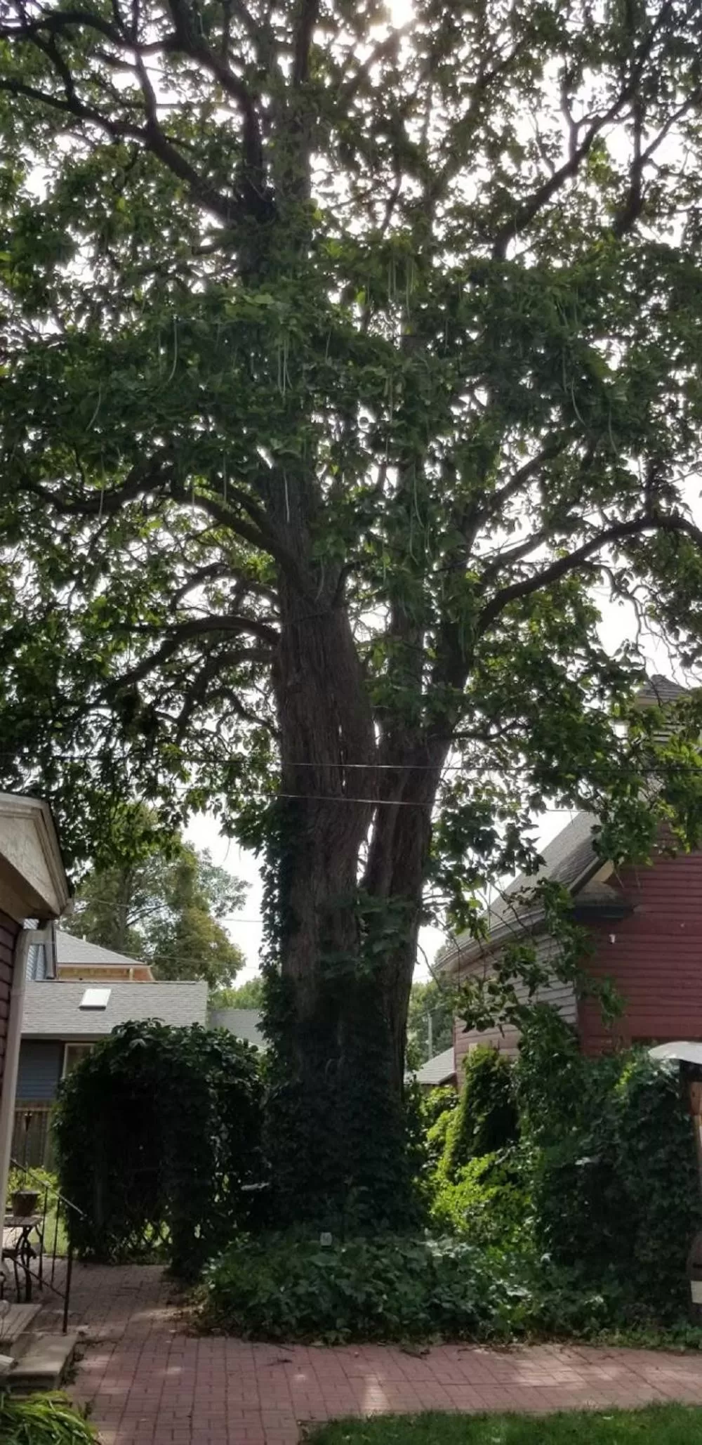 Property building in Historic Victorian Inn
