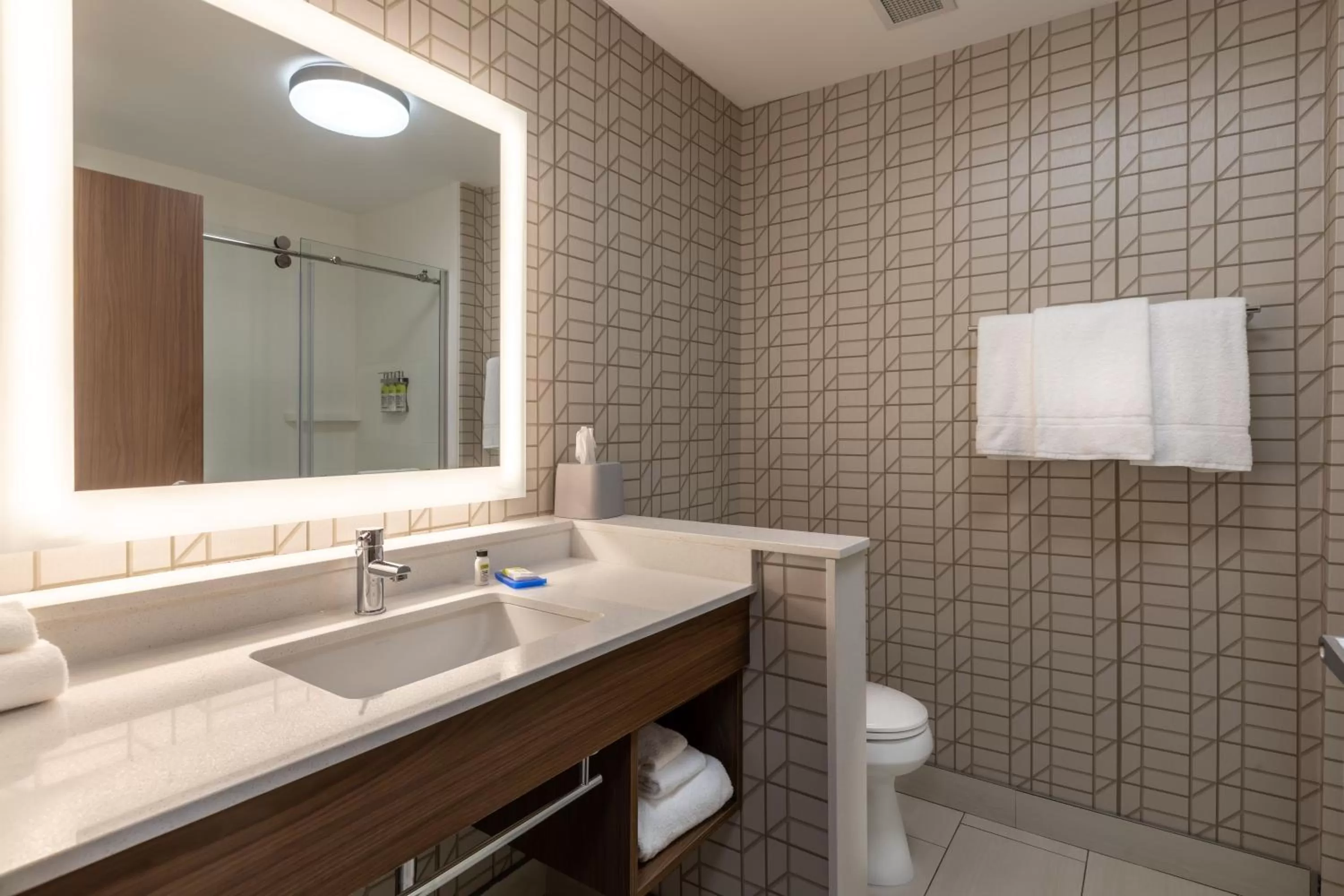 Bathroom in Holiday Inn Express & Suites Greenville S - Piedmont by IHG