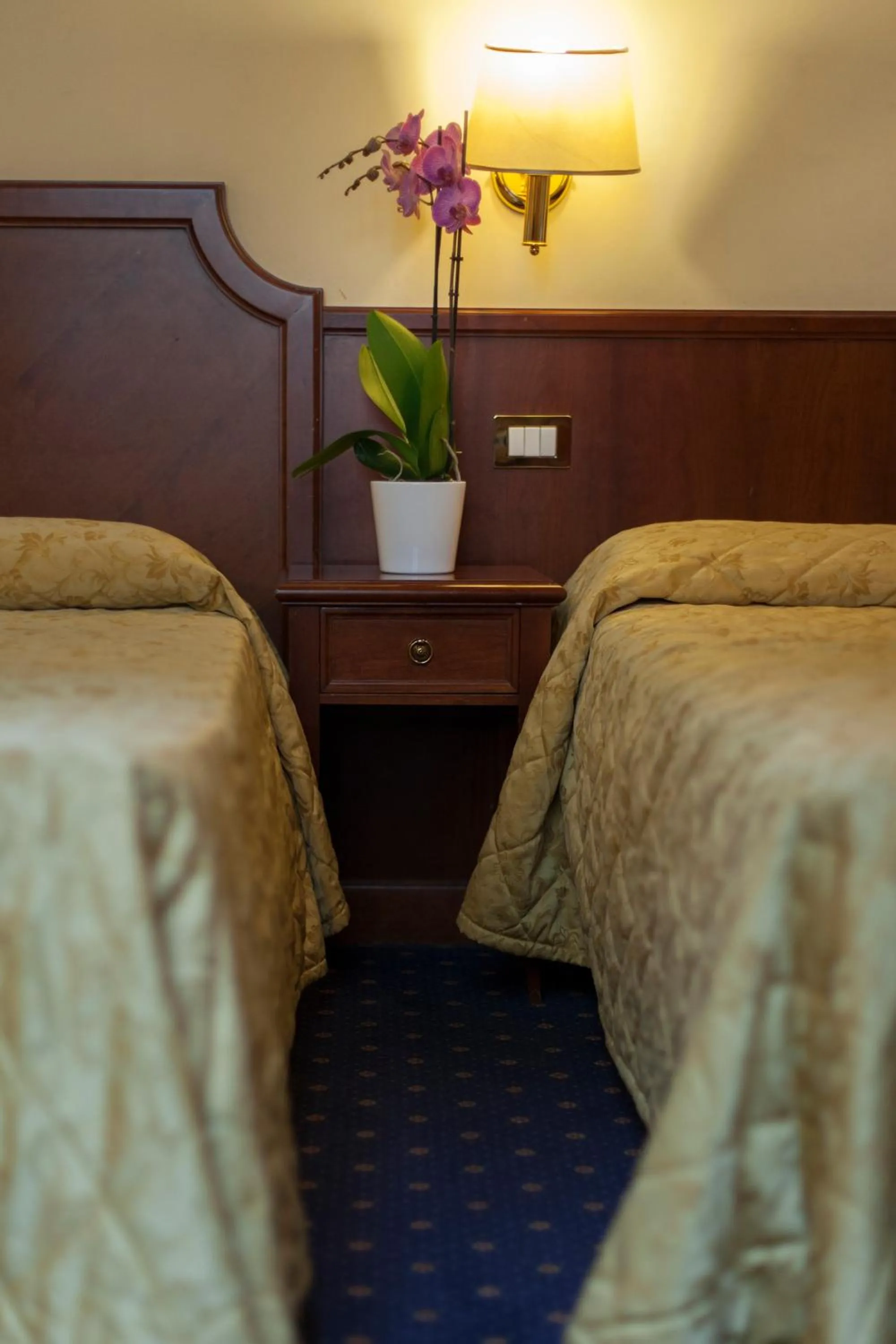 Bed in Hotel Arizona