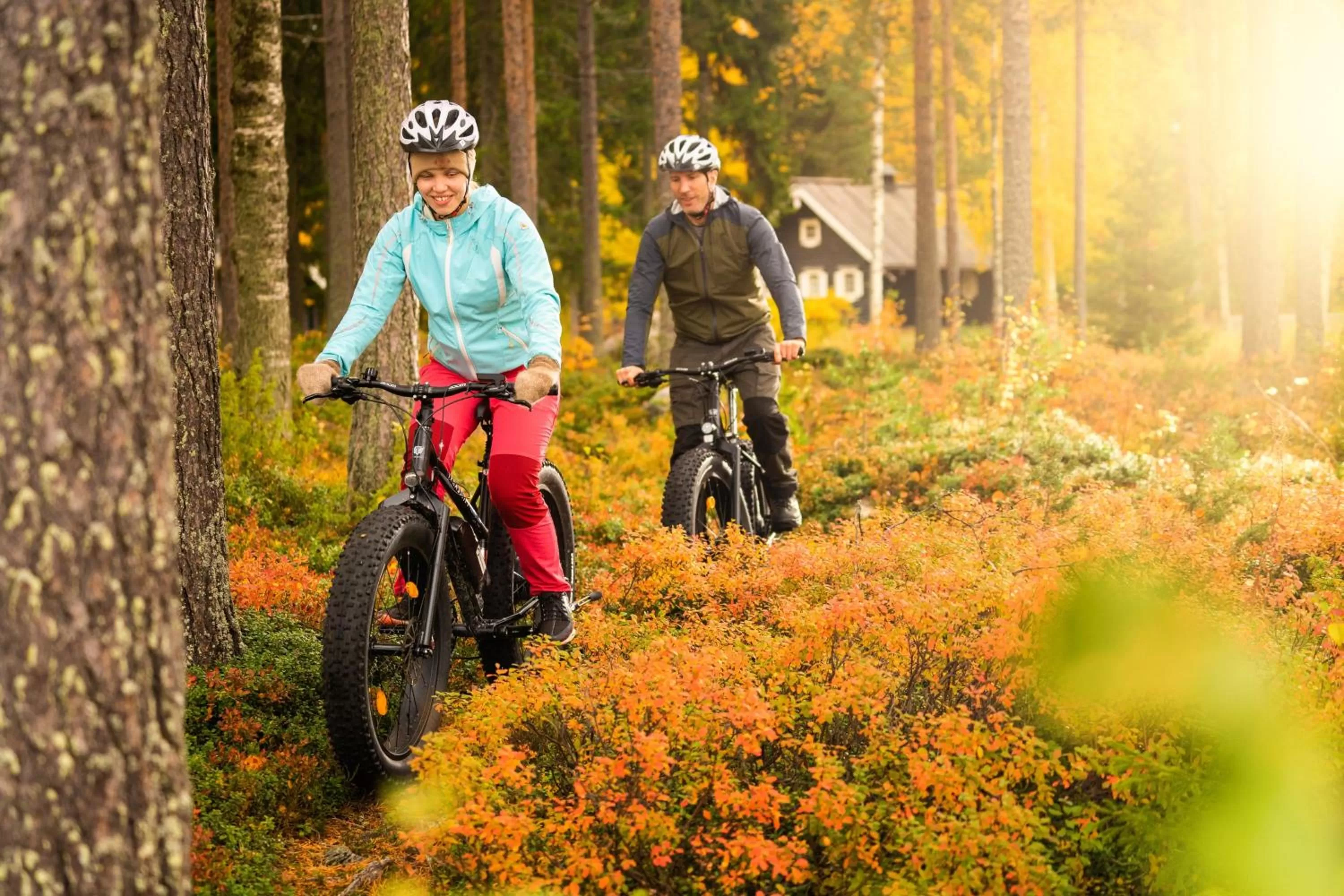 Activities in Break Sokos Hotel Bomba