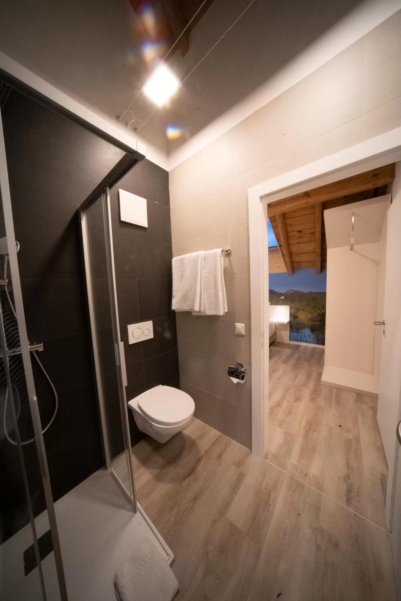 Shower, Bathroom in Hotel de la Concorde