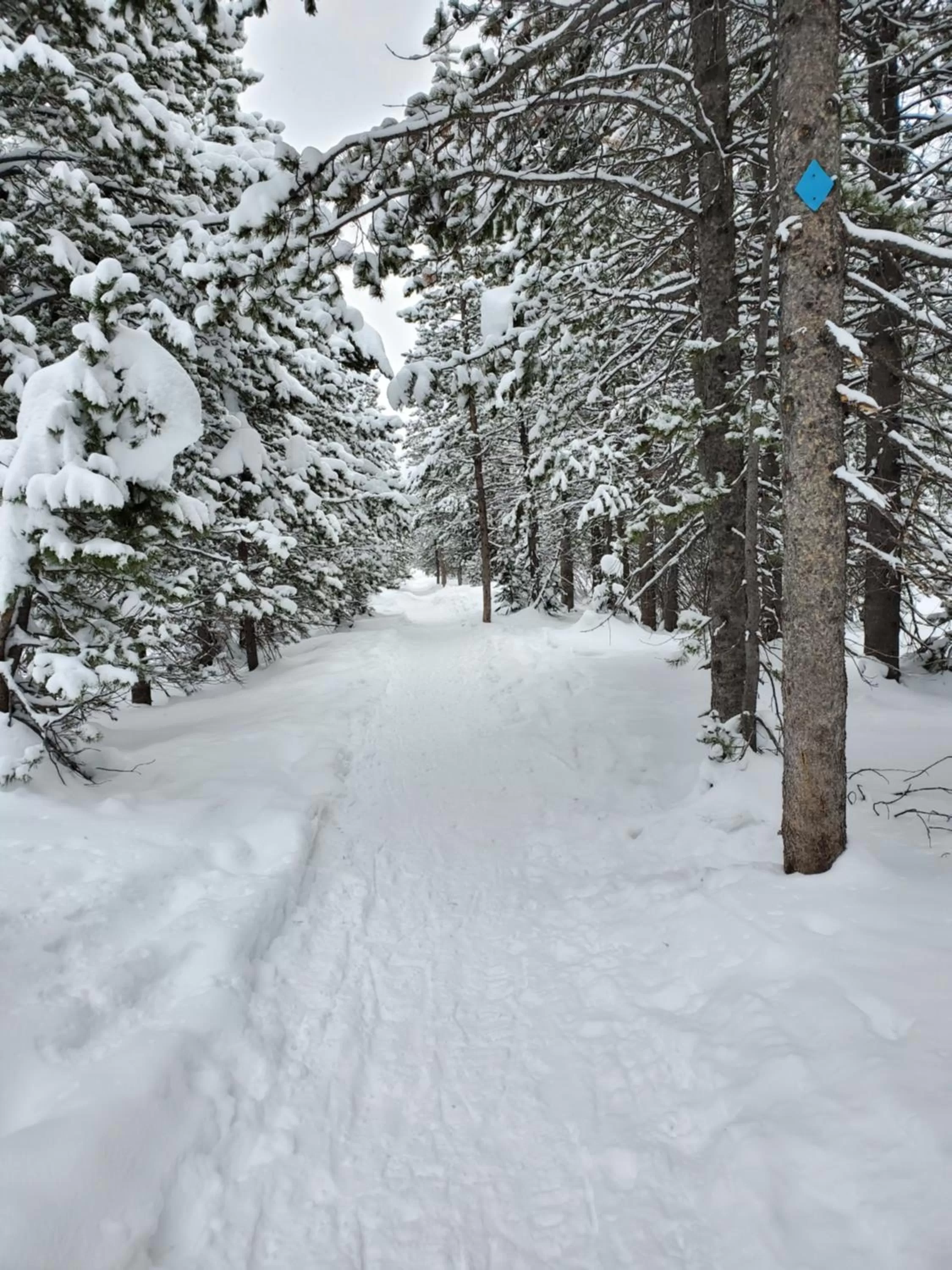 Winter in Chalet Val d'Isere