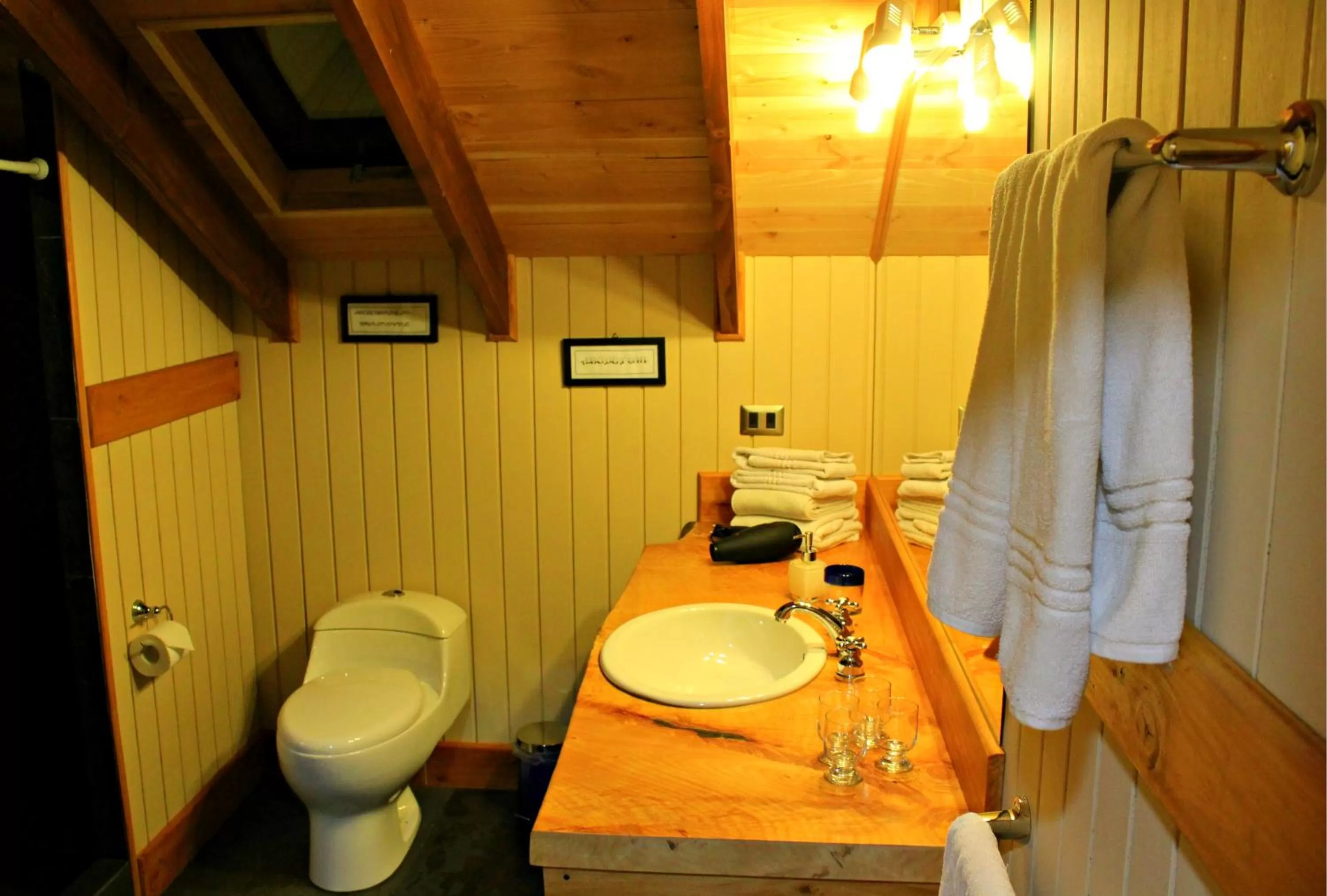 Bathroom, Dining Area in Hotel Salto del Carileufu