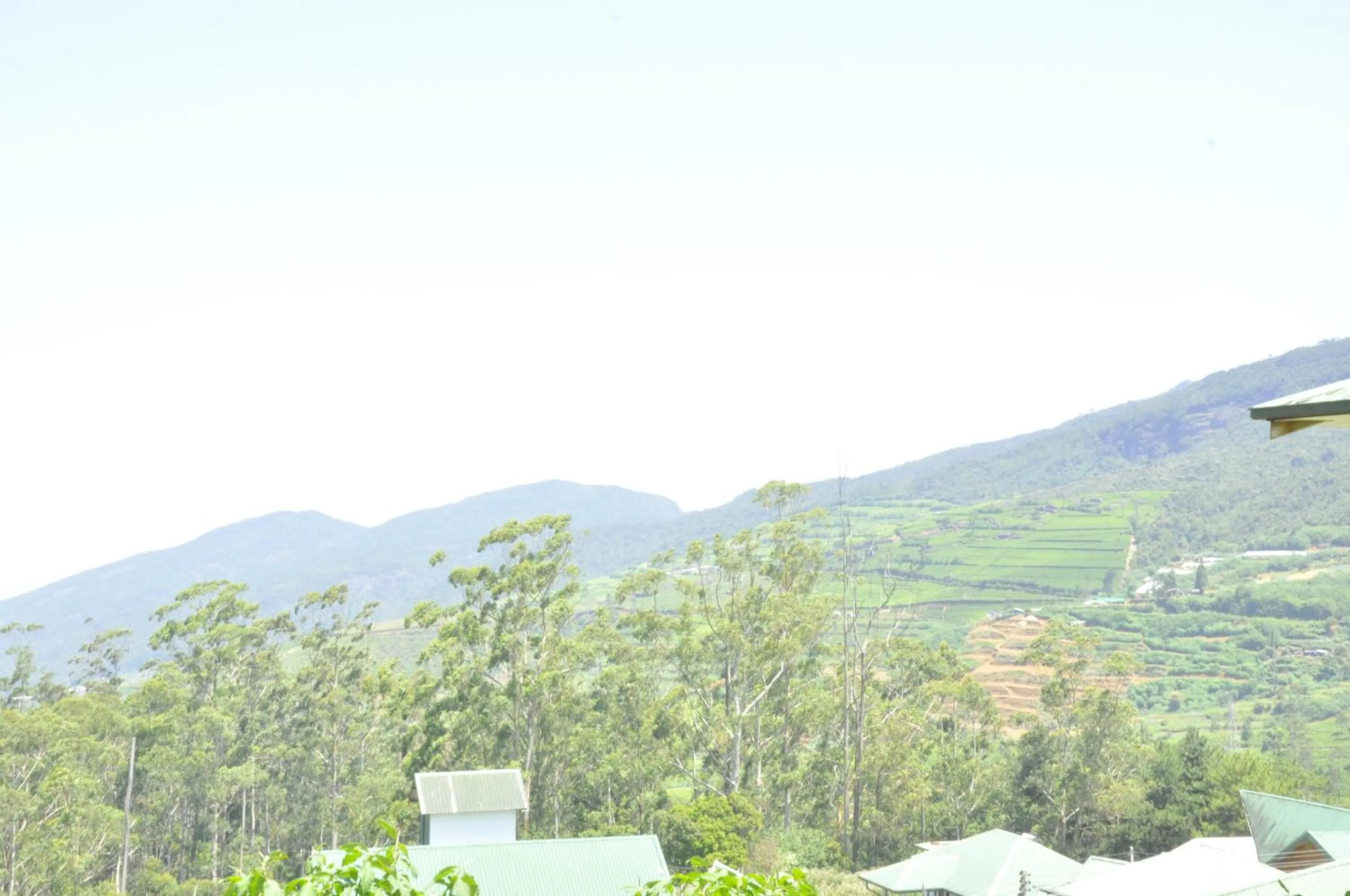 Mountain view in Forest View Lodge