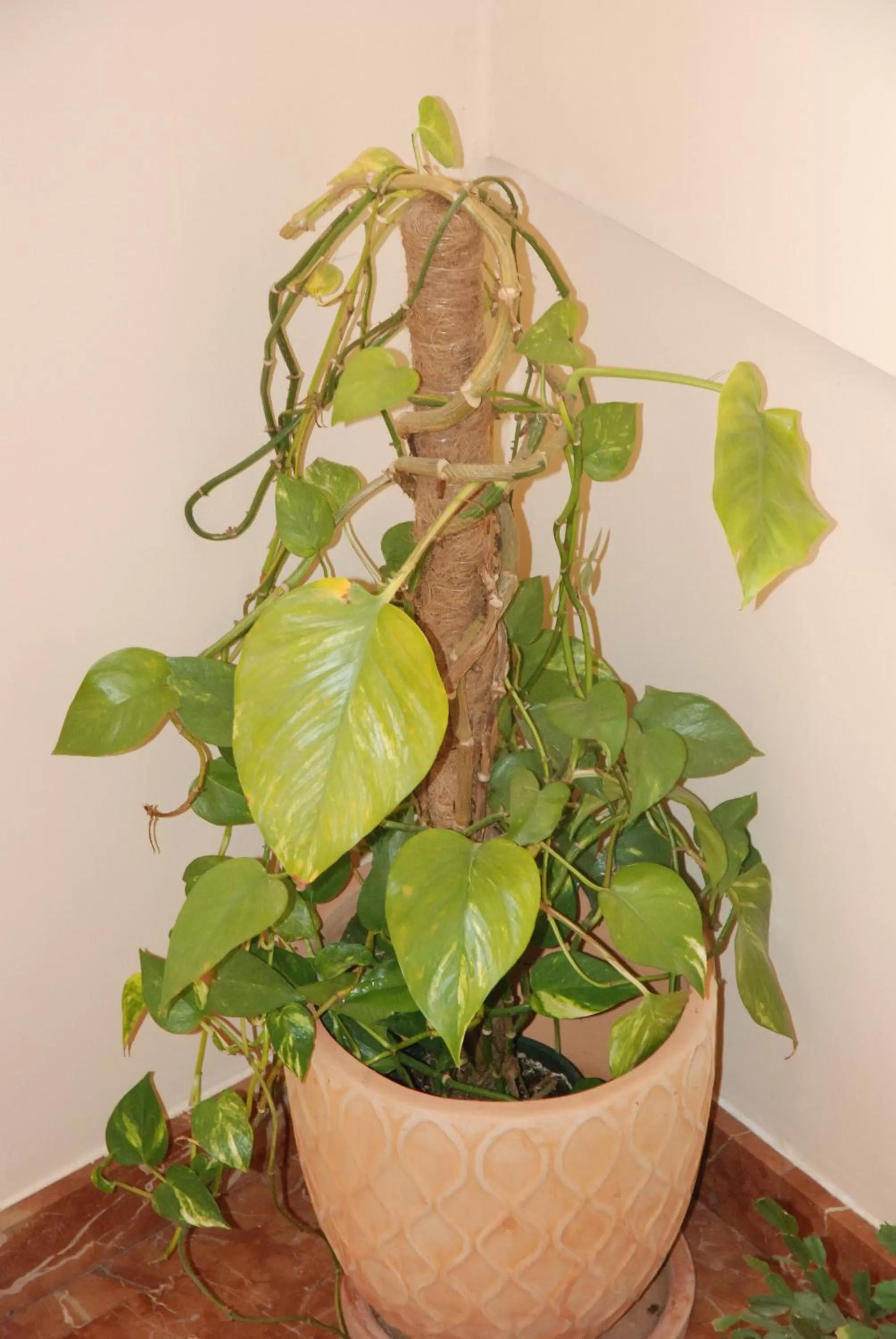 Apartahotel FC Catedral