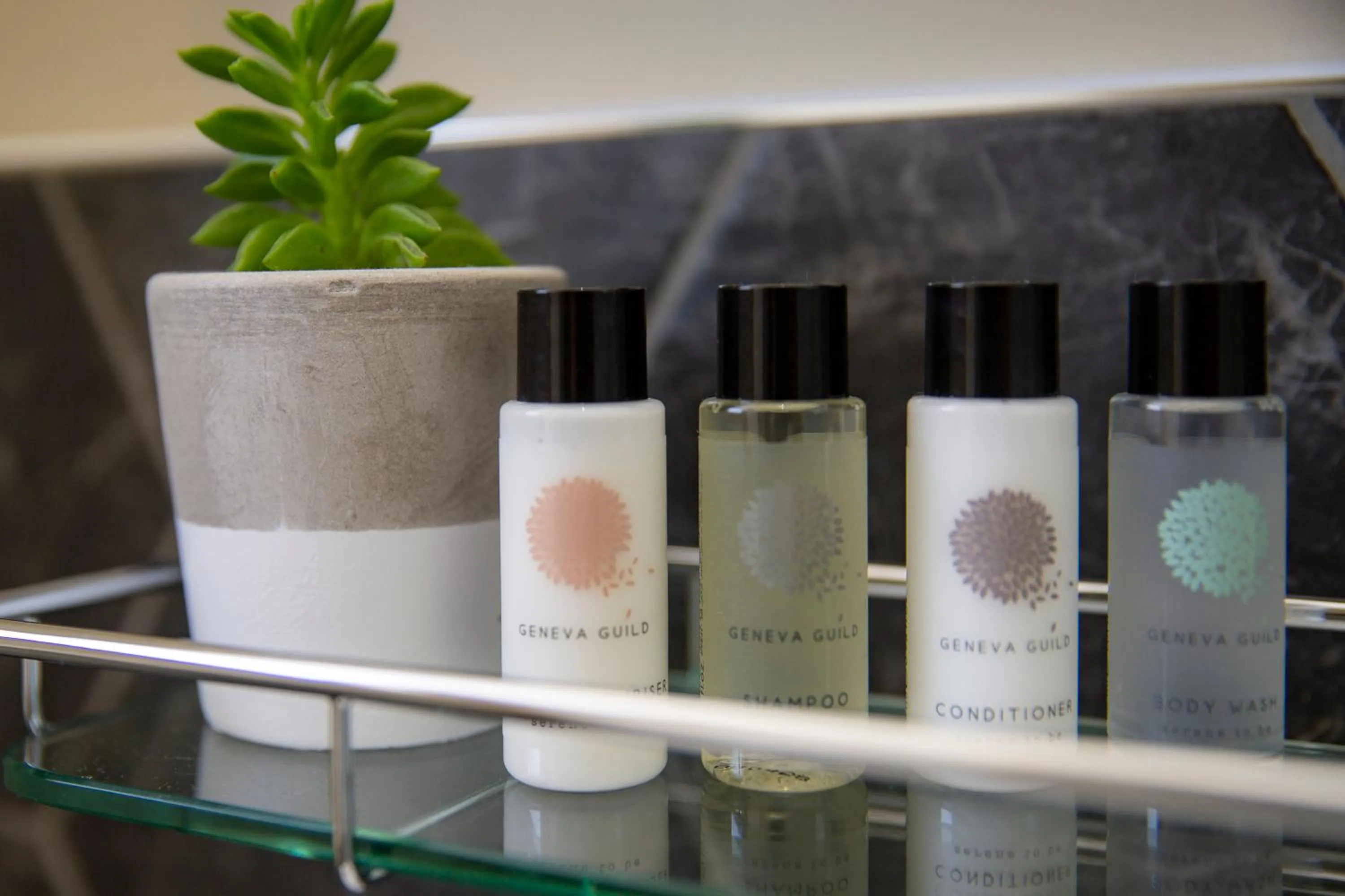 The Princess Victoria