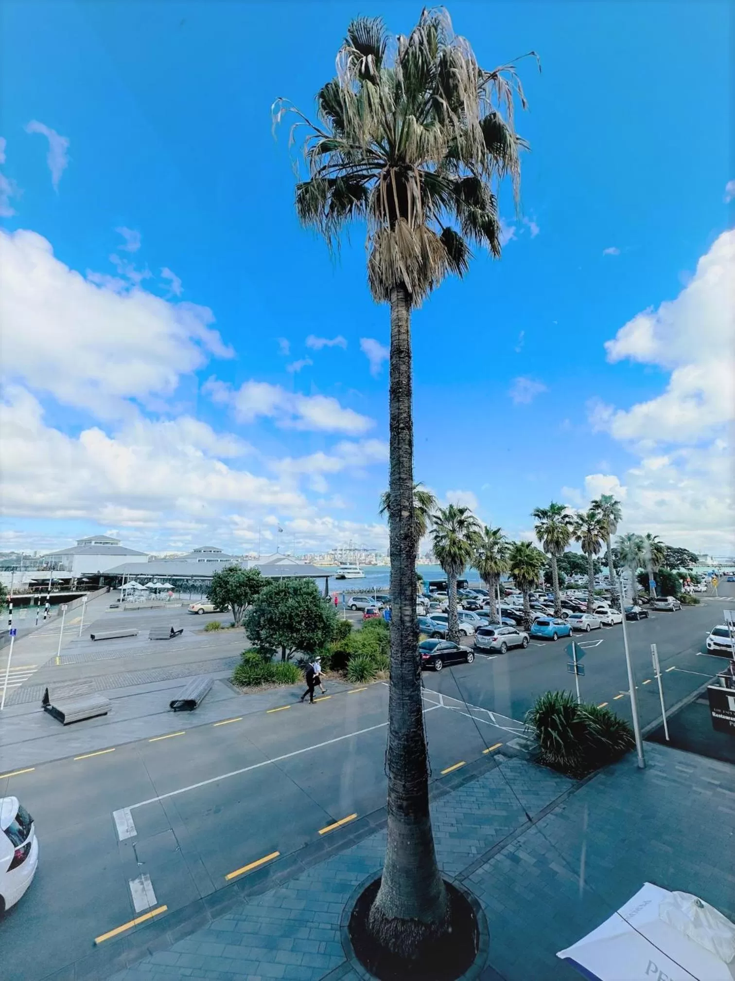 Location in The Esplanade Hotel