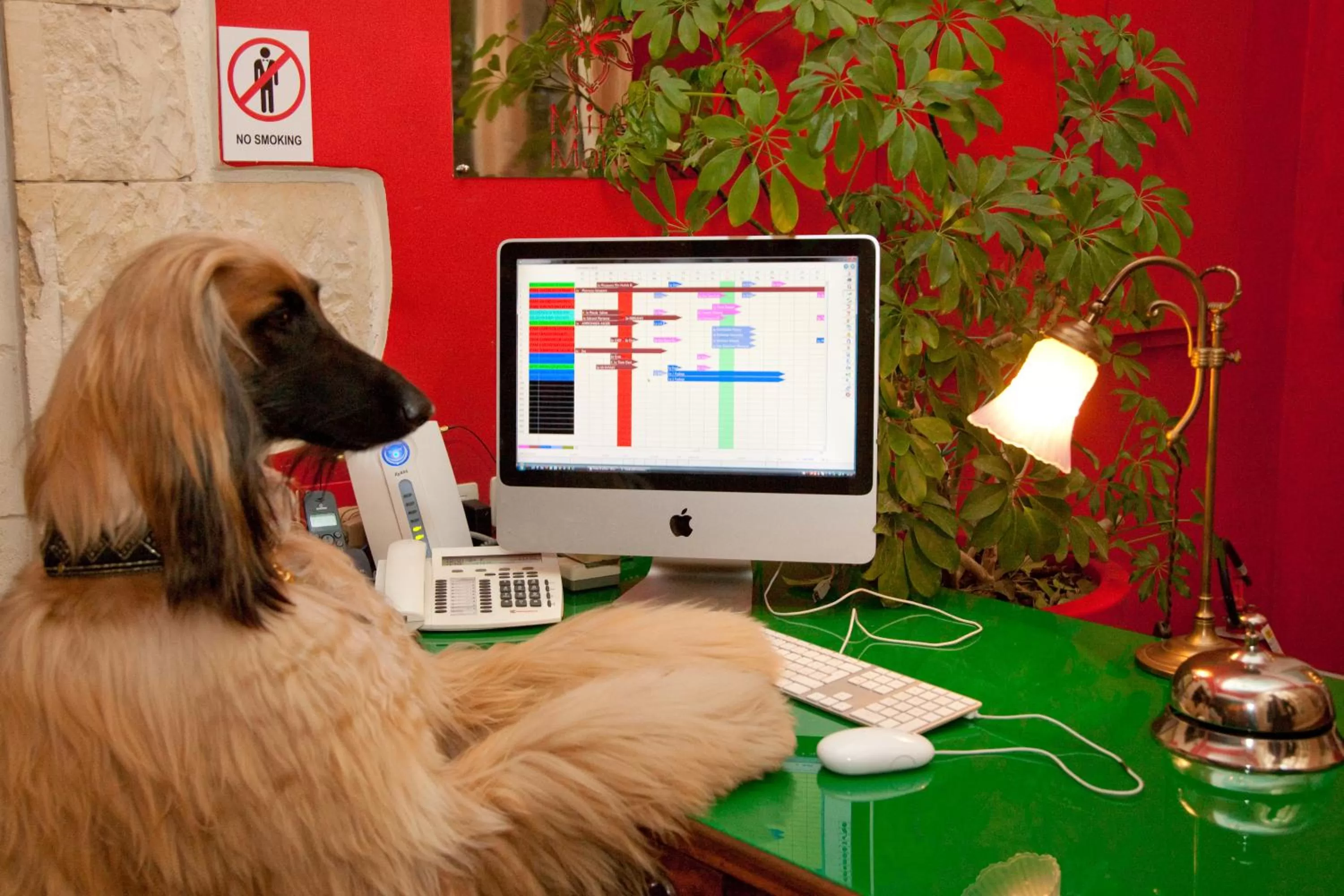 Business facilities in Miramare Cagliari Hotel Museo