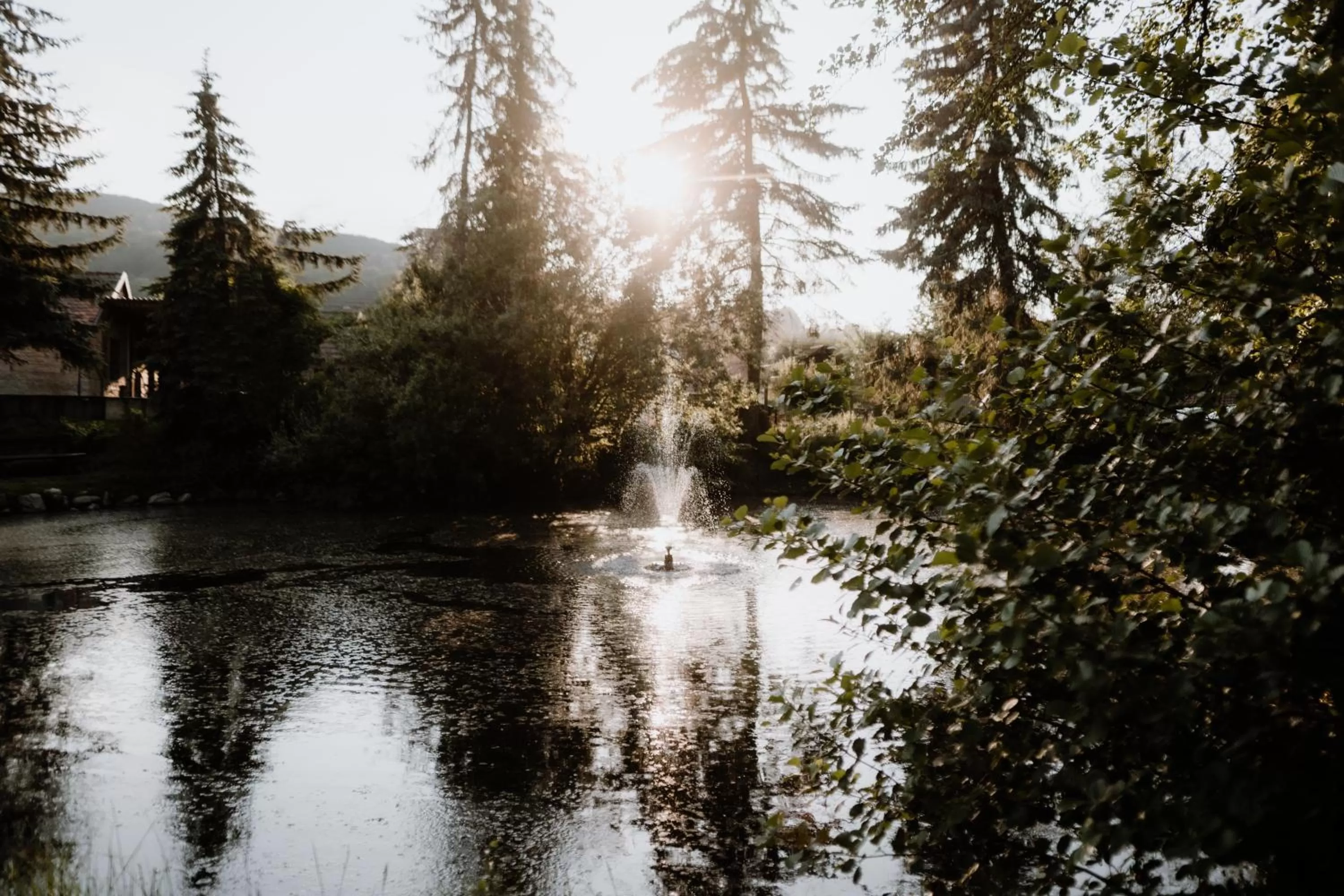 Garden in Schlosshotel Stecklenberg