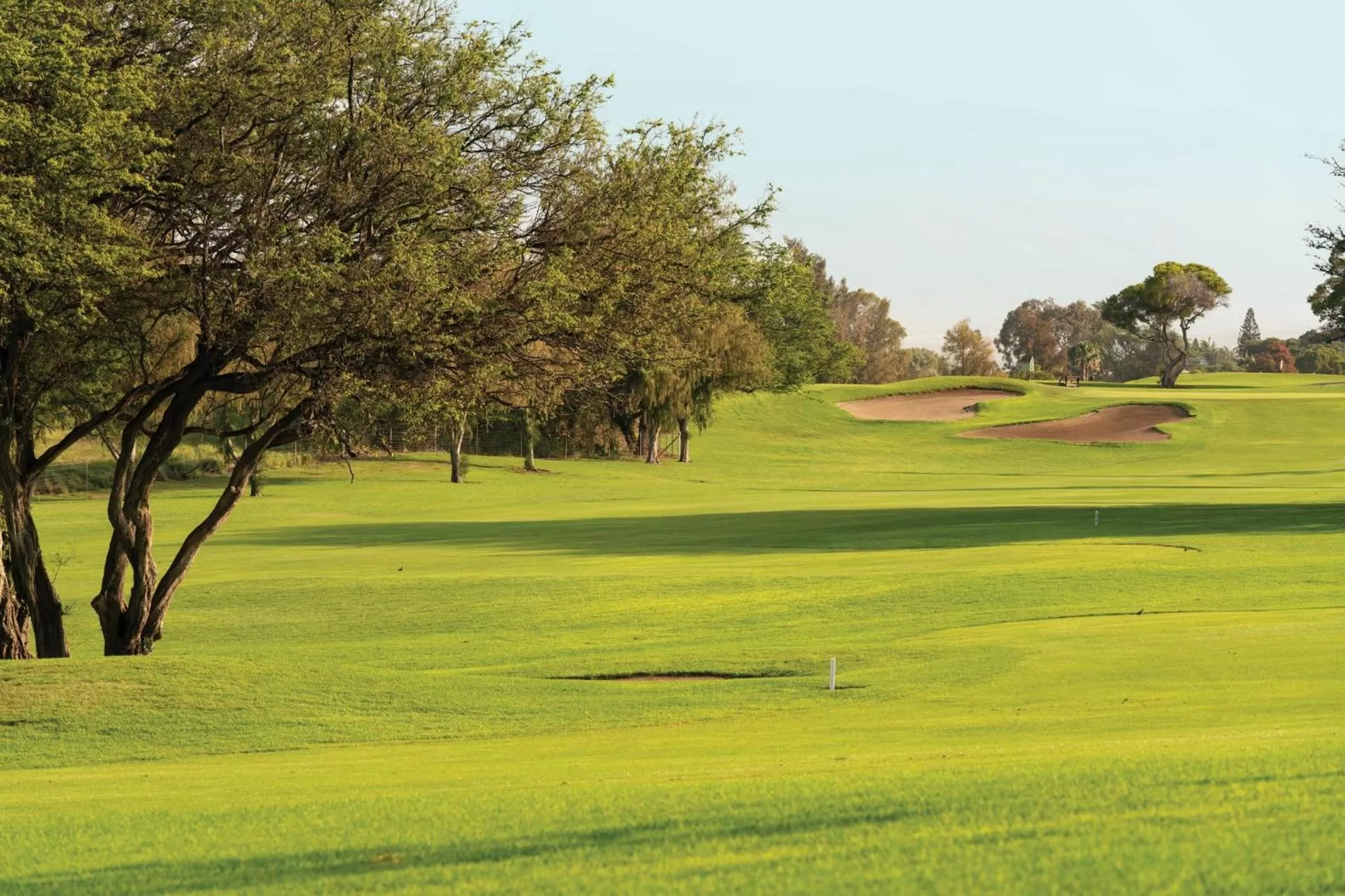 Other in Paniolo Greens Resort