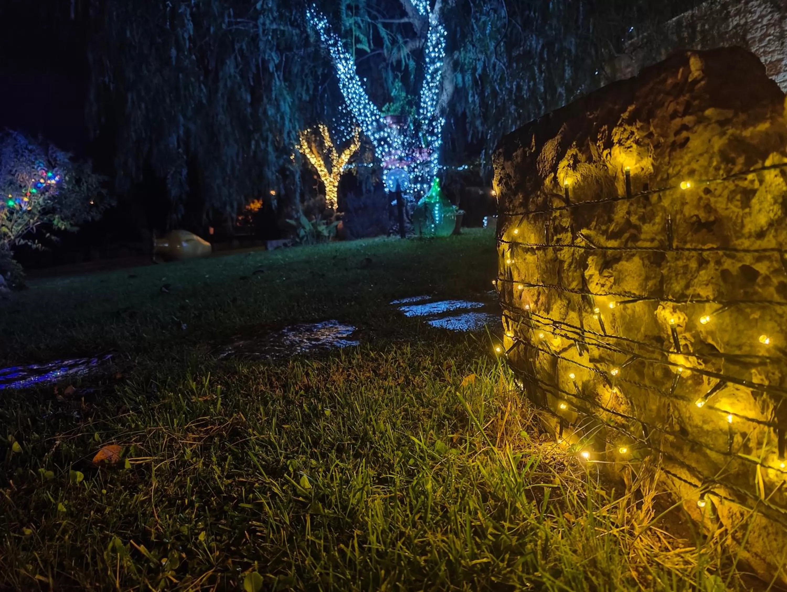 Natural landscape in Trulli Donna Isabella