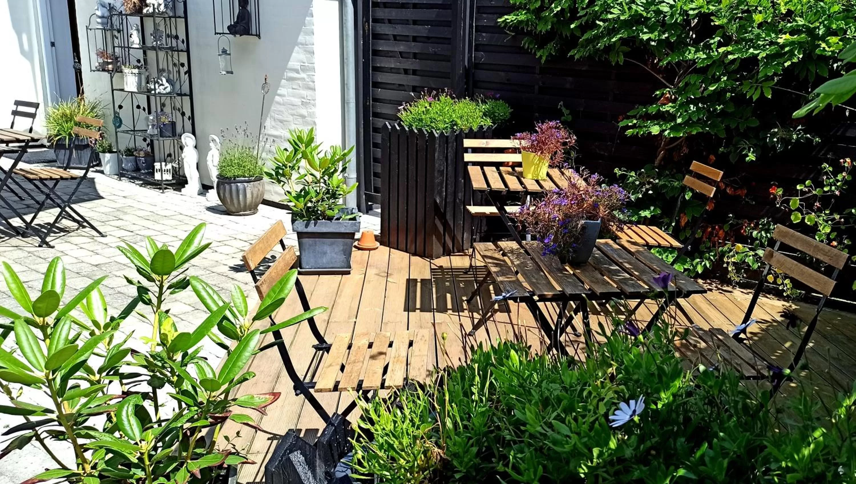 Dragondrum Bed & Breakfast