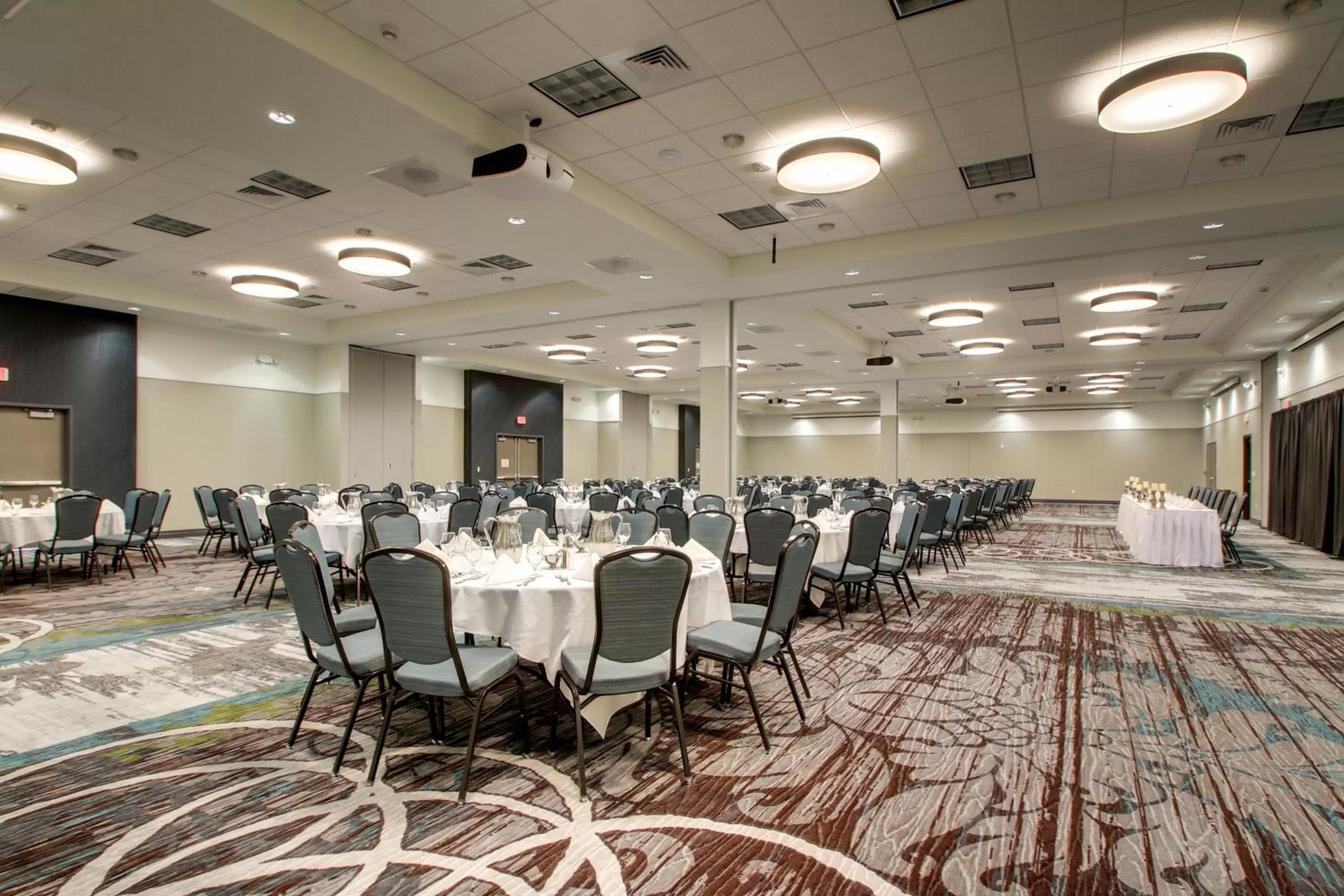 Banquet/Function facilities in Holiday Inn & Suites Peoria at Grand Prairie by IHG