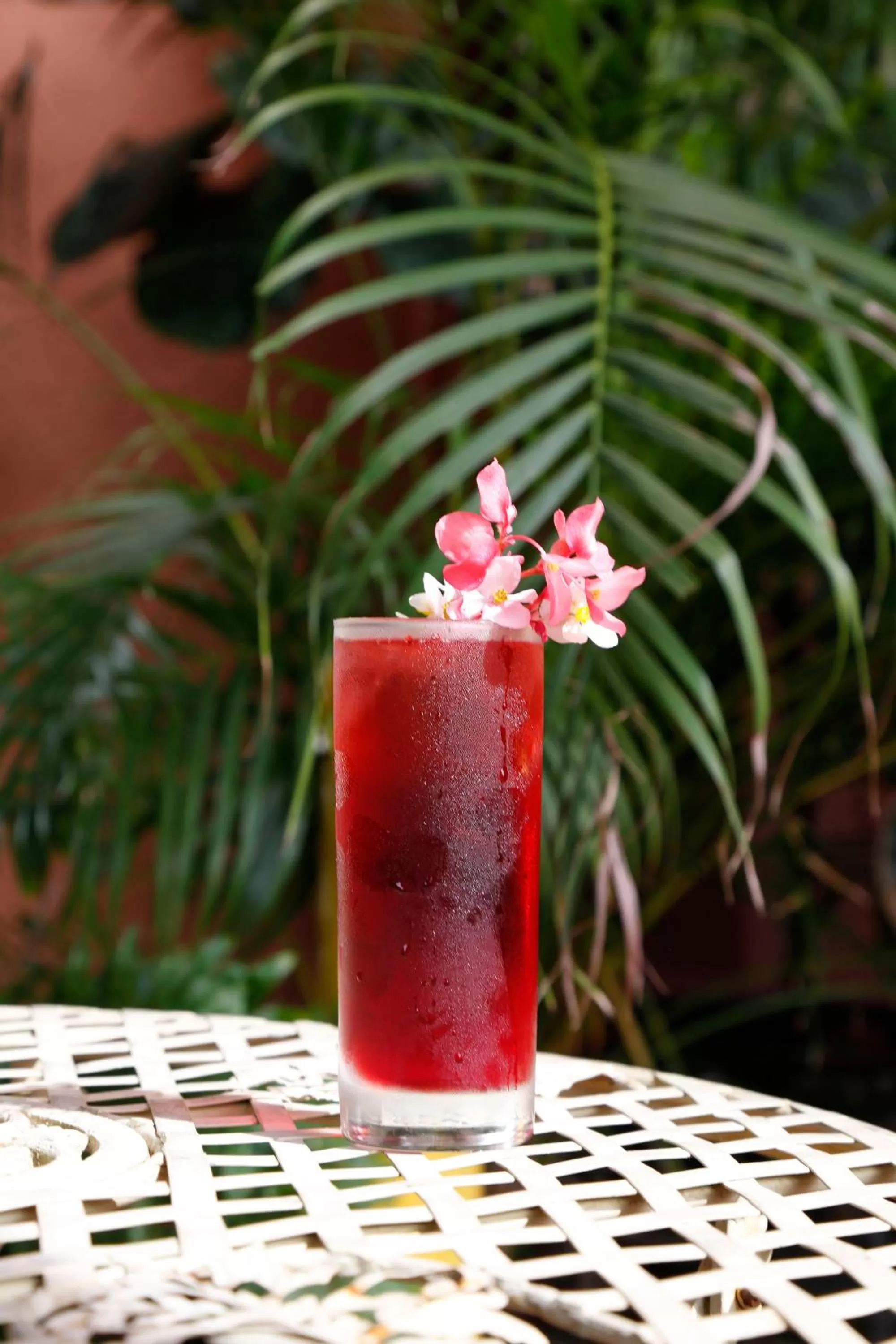 Restaurant/places to eat, Drinks in Life House, Little Havana