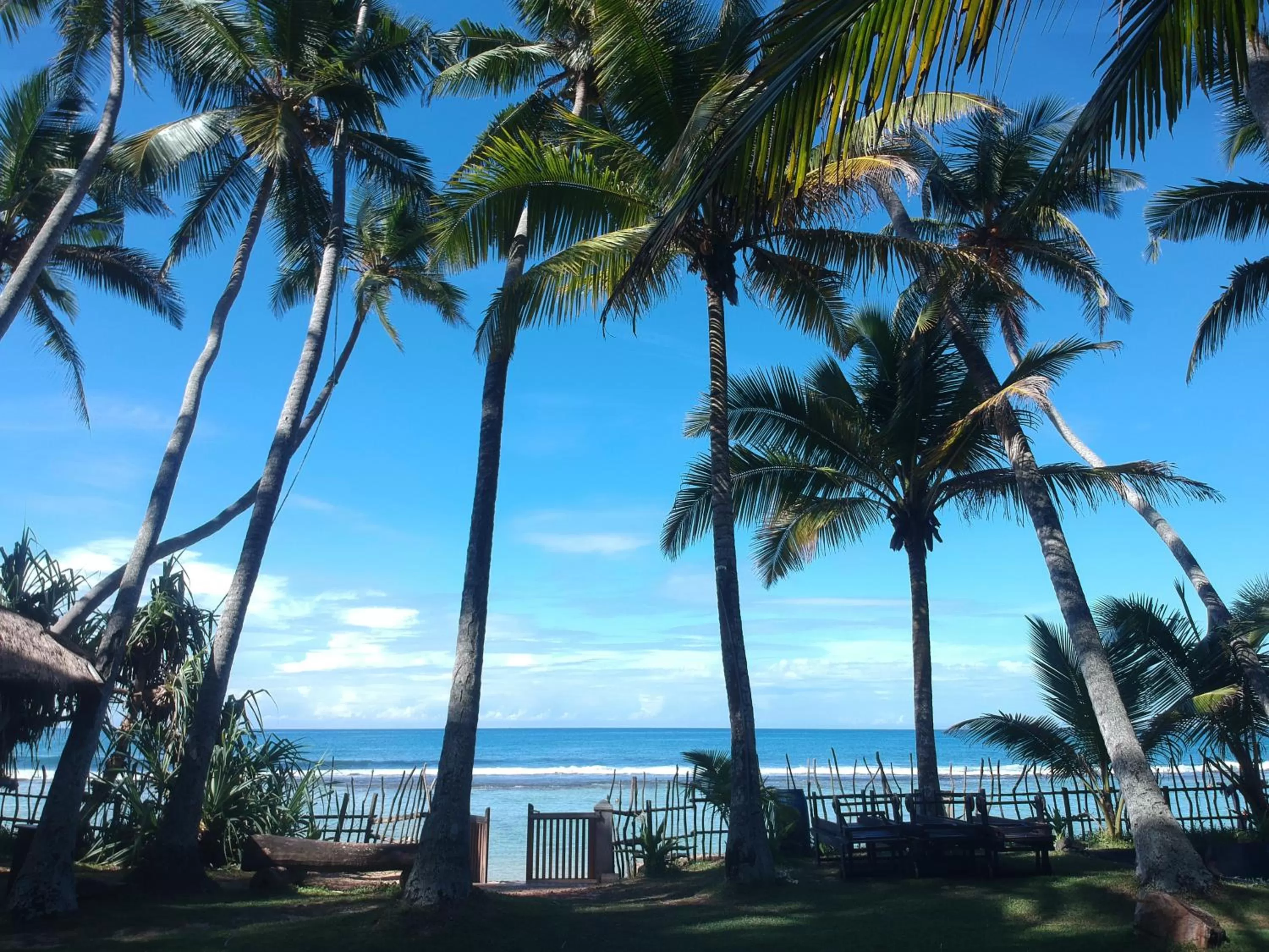 Garden in Galawatta Beach Resort
