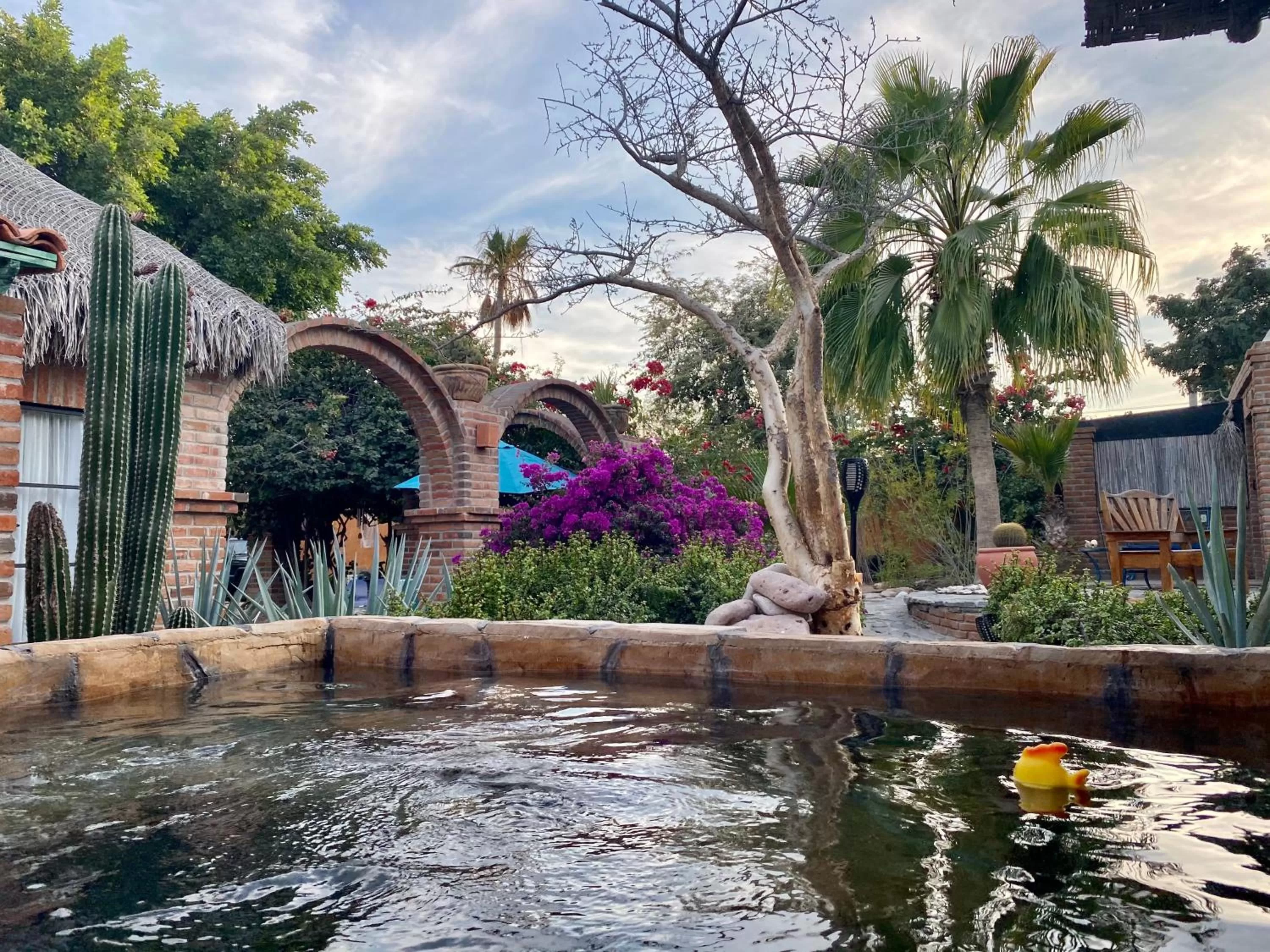 Swimming pool in Casa Xochitl