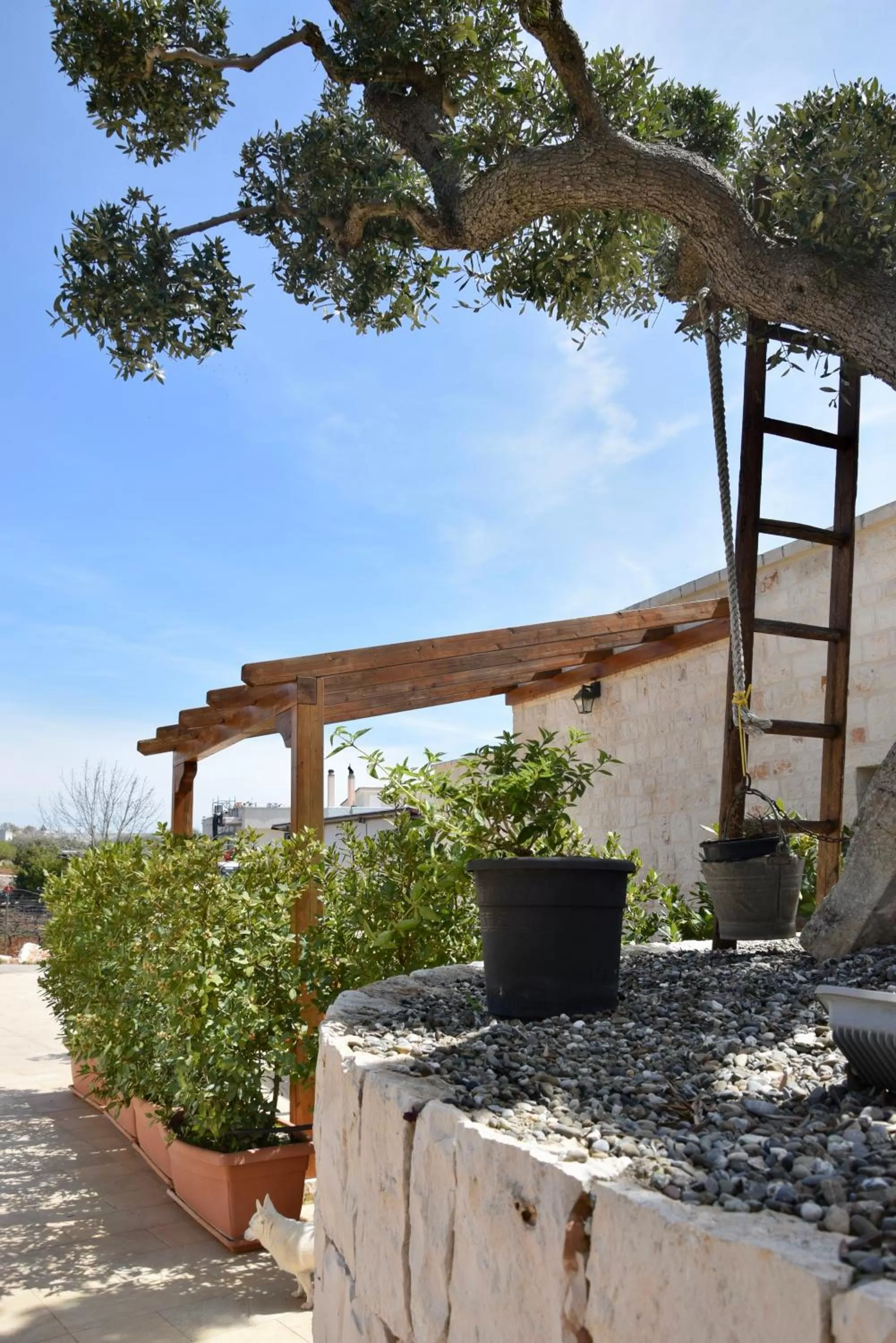 Property building in Quei Trulli Divini