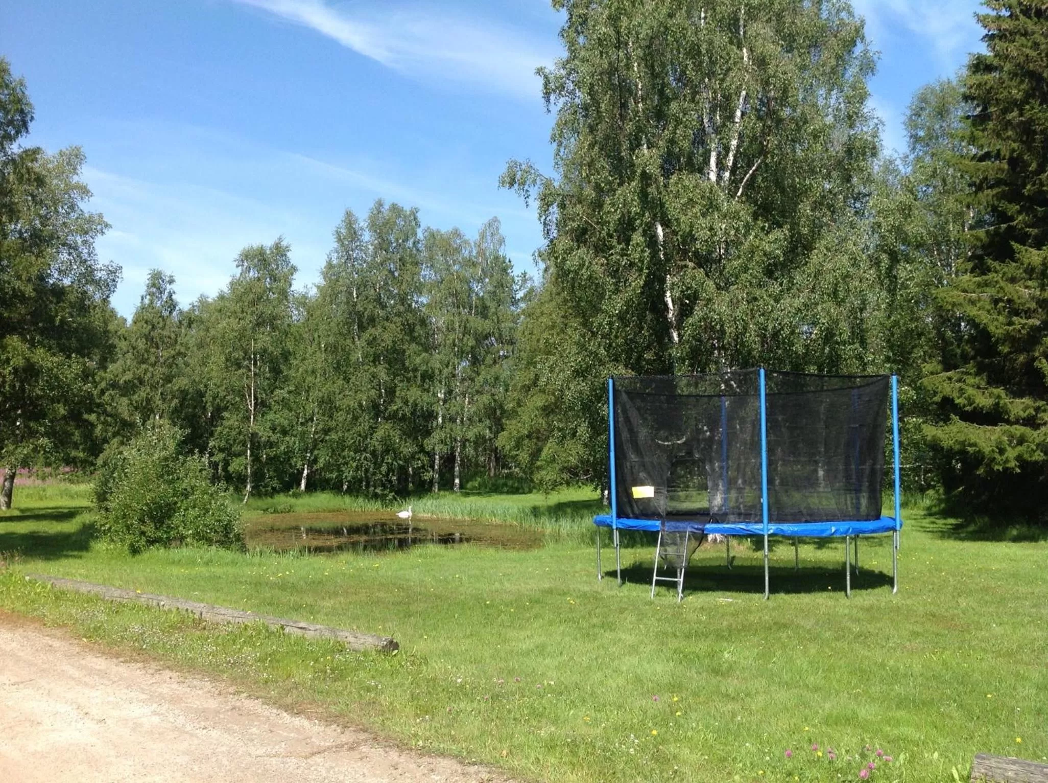 Activities in Hotel Yöpuu