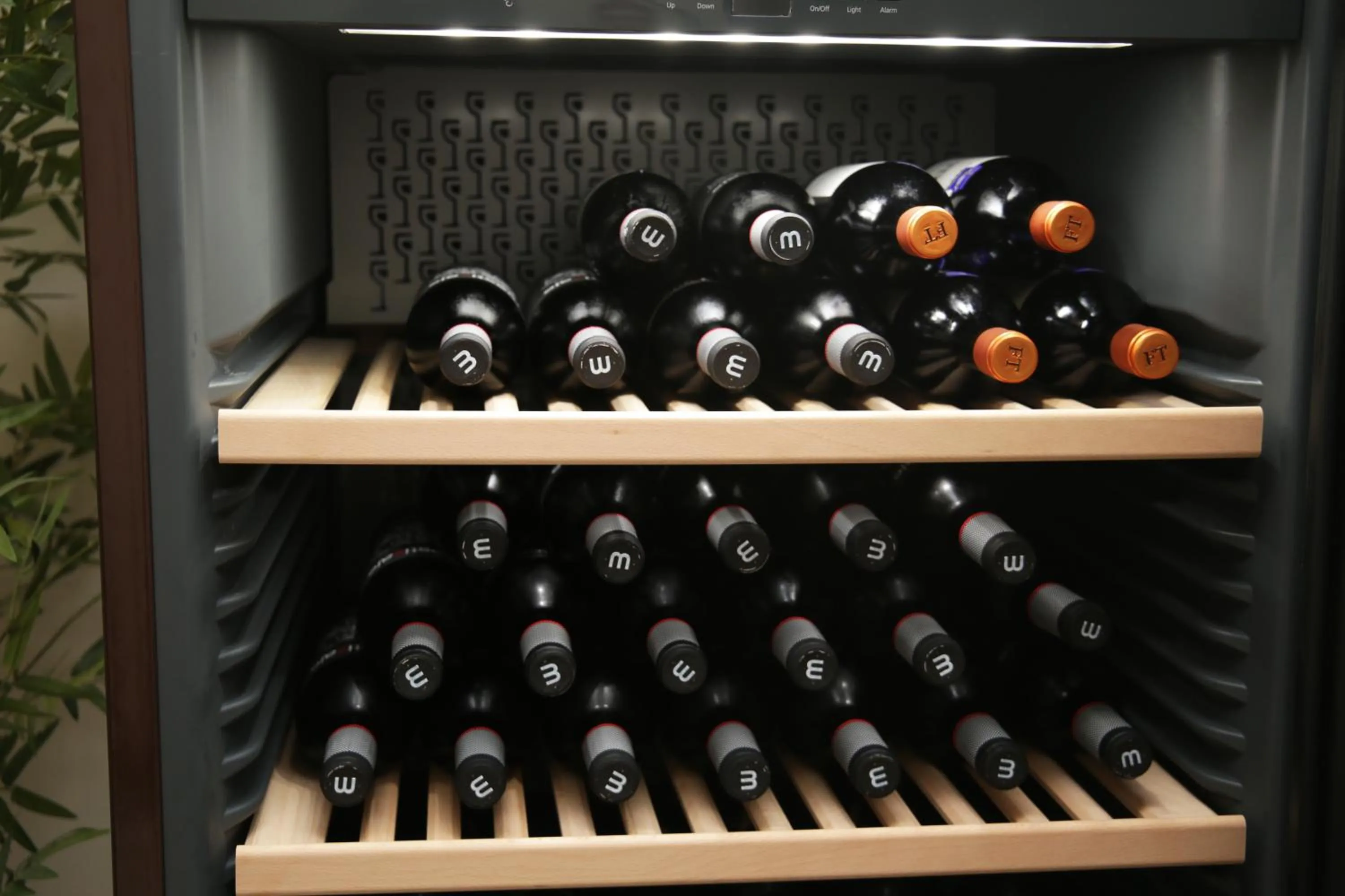 Alcoholic drinks in Hotel San Lorenzo Boutique Plaza