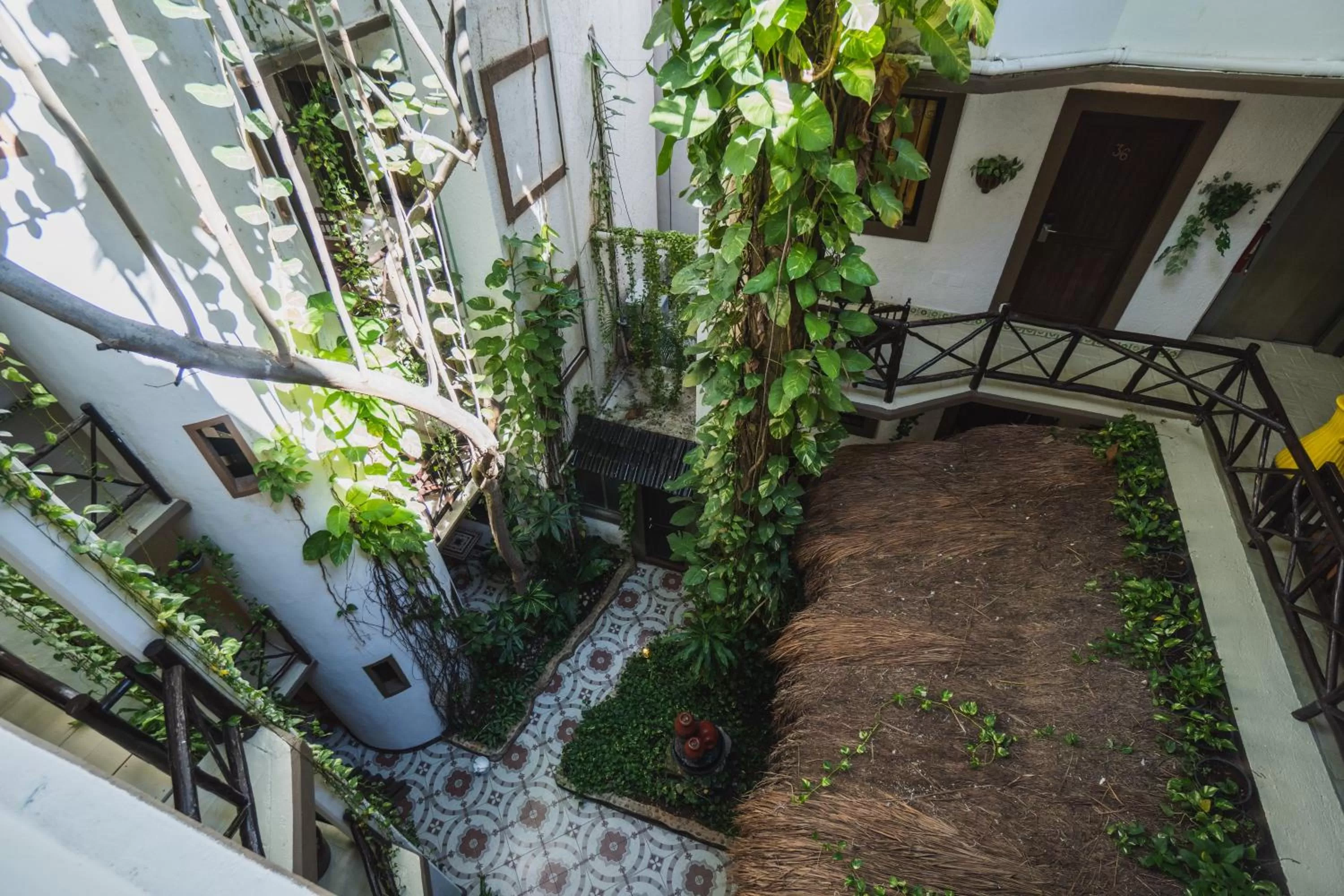 Garden in Posada Mariposa Boutique Hotel - 5th Avenue