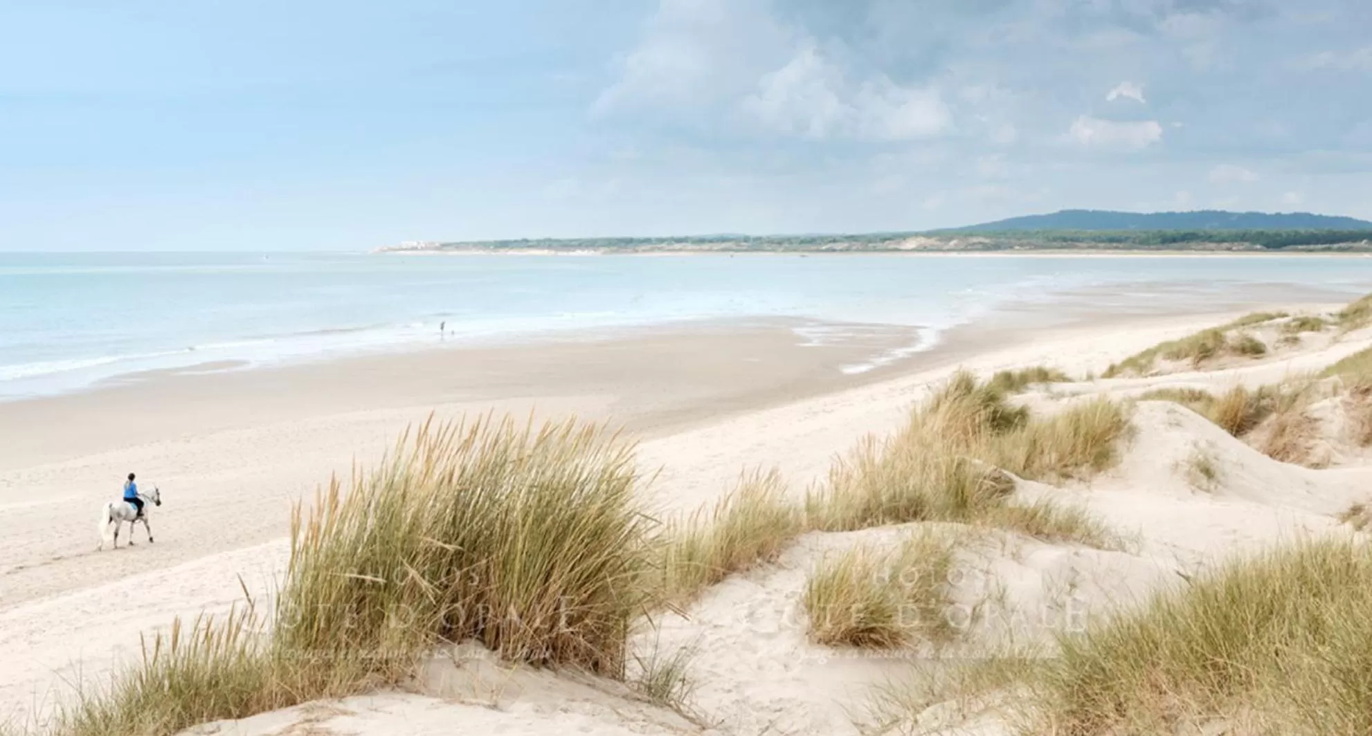 Beach in Chambre d'Hôte Touquet's Garden
