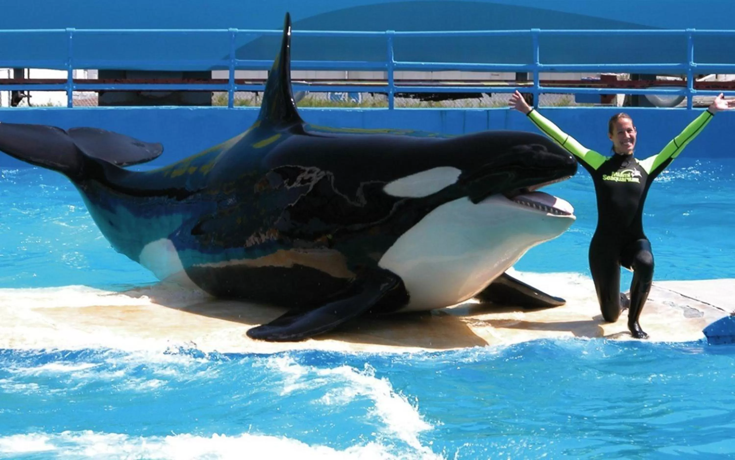 Nearby landmark in Holiday Inn Miami Beach-Oceanfront by IHG